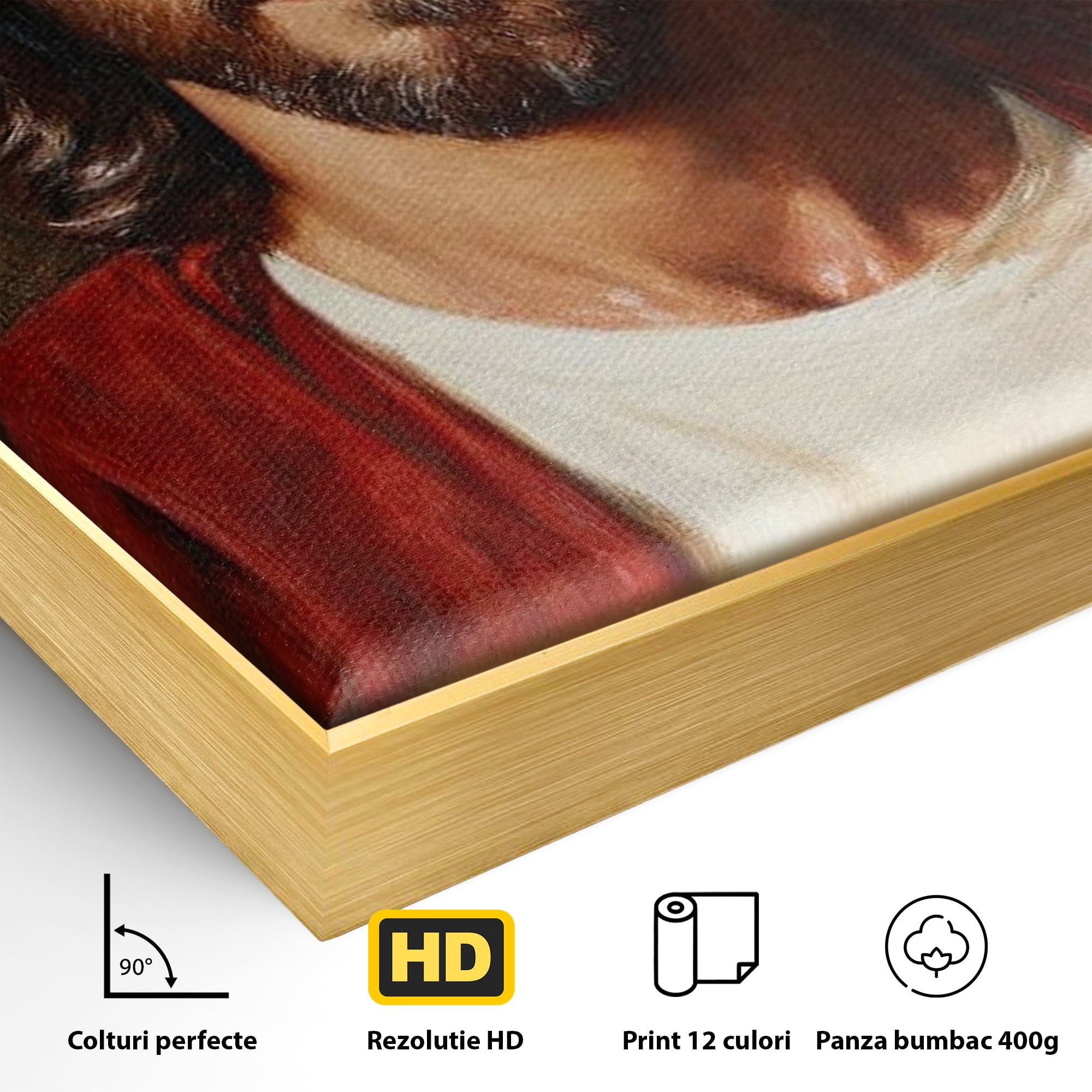 Tablou Canvas Premium LuxCanva® H1049, Portretul lui Iisus, Iisus, Chip, Credinta, Speranta, Mantuire, Sacrificiu, Spiritualitate, Har, Arta Religioasa, Living, Dormitor