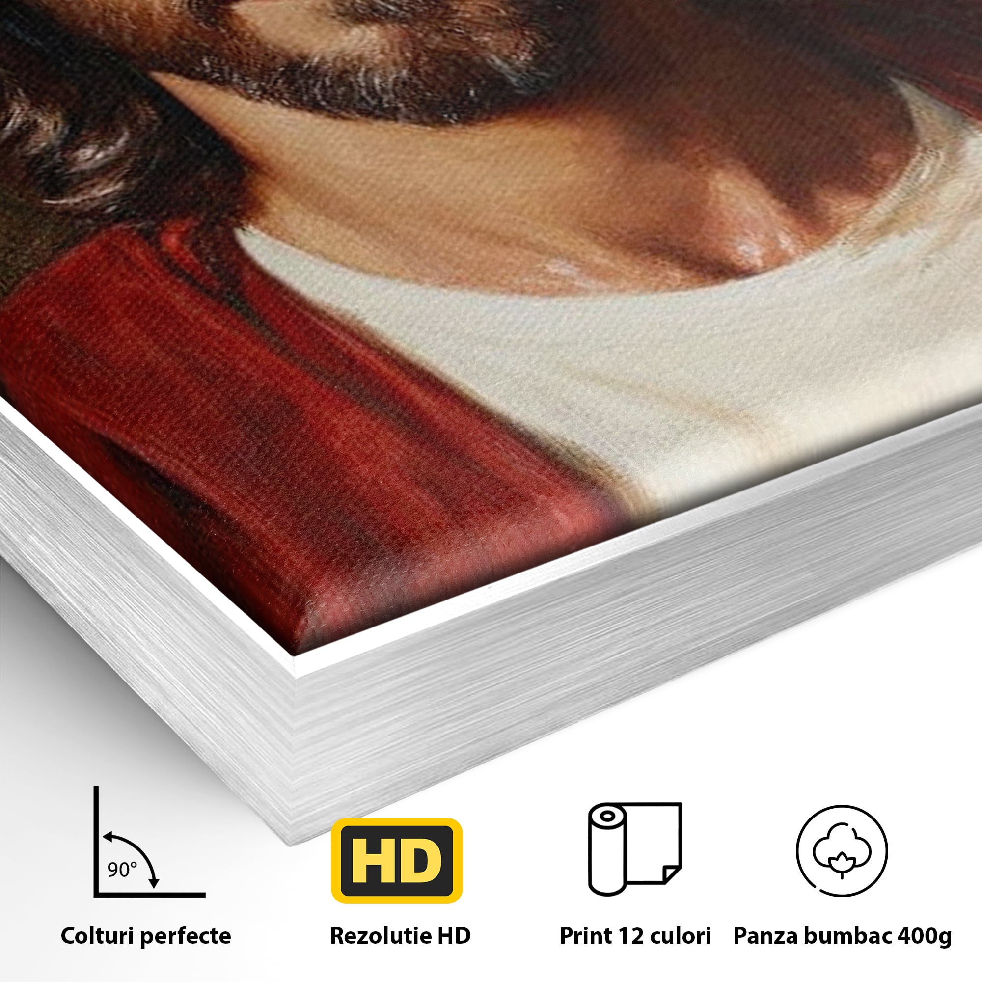 Tablou Canvas Premium LuxCanva® H1049, Portretul lui Iisus, Iisus, Chip, Credinta, Speranta, Mantuire, Sacrificiu, Spiritualitate, Har, Arta Religioasa, Living, Dormitor