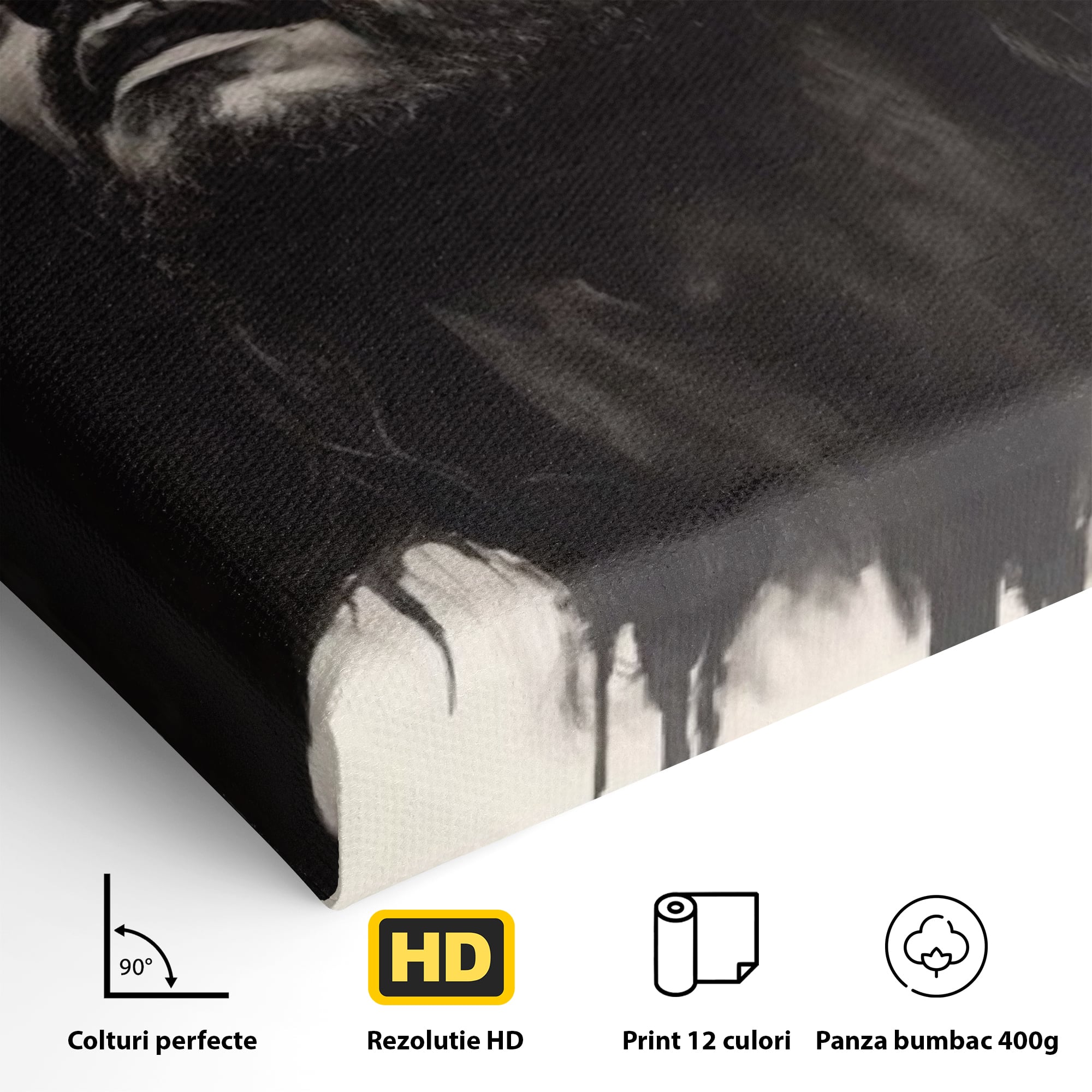 Tablou Canvas Premium LuxCanva® H1060, Ecoul Sacrificiului, Iisus, Credinta, Sacrificiu, Lumina, Intuneric, Inspiratie, Coroana de Spini, Arta Religioasa, Living, Dormitor