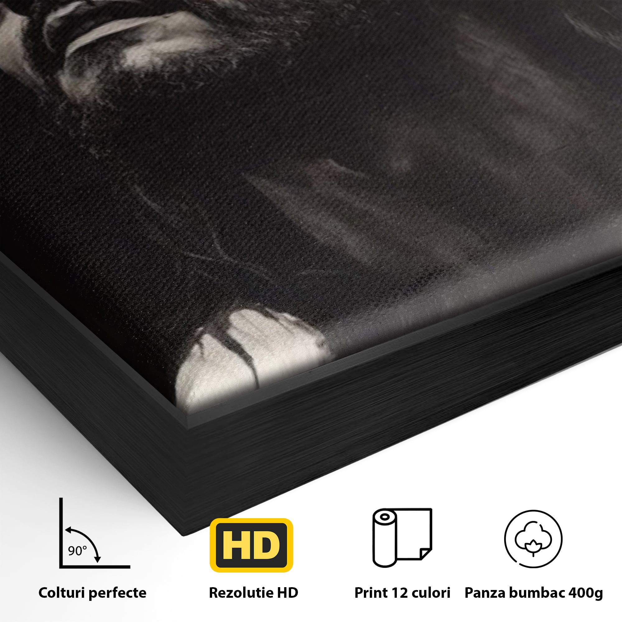 Tablou Canvas Premium LuxCanva® H1060, Ecoul Sacrificiului, Iisus, Credinta, Sacrificiu, Lumina, Intuneric, Inspiratie, Coroana de Spini, Arta Religioasa, Living, Dormitor