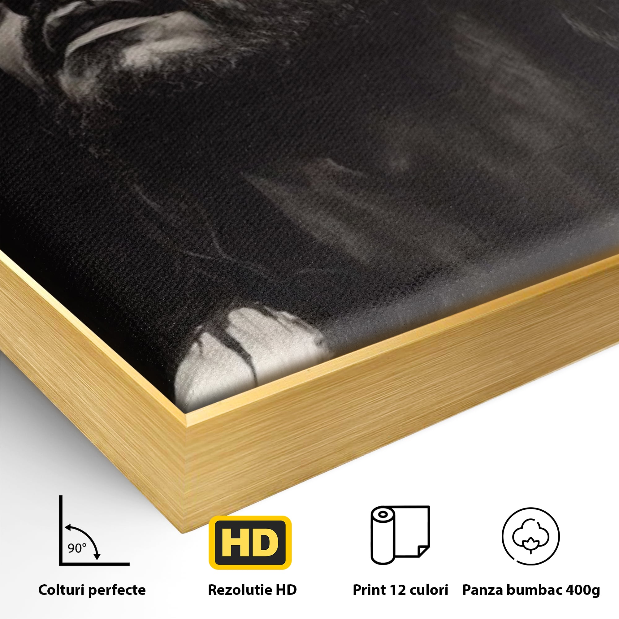 Tablou Canvas Premium LuxCanva® H1060, Ecoul Sacrificiului, Iisus, Credinta, Sacrificiu, Lumina, Intuneric, Inspiratie, Coroana de Spini, Arta Religioasa, Living, Dormitor