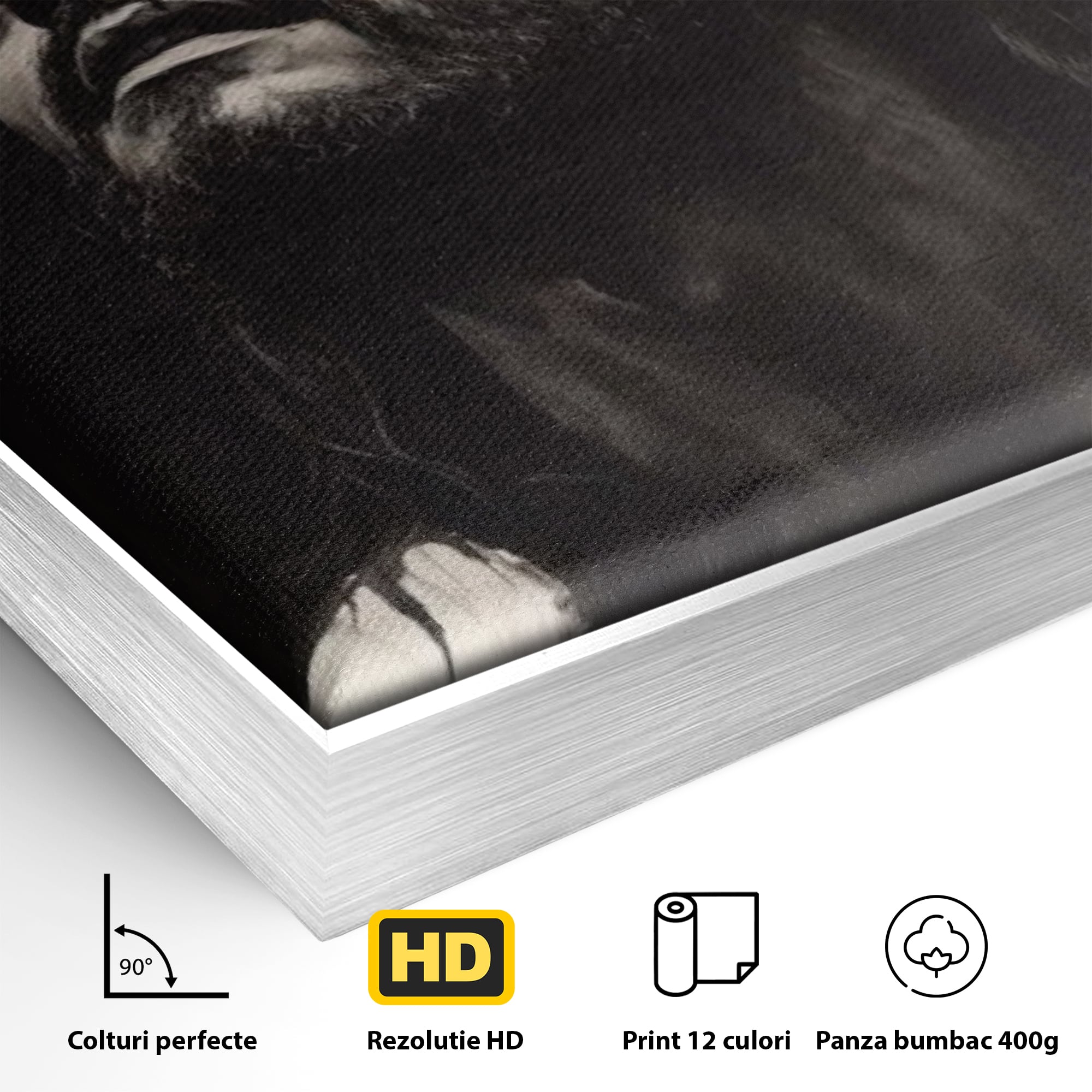 Tablou Canvas Premium LuxCanva® H1060, Ecoul Sacrificiului, Iisus, Credinta, Sacrificiu, Lumina, Intuneric, Inspiratie, Coroana de Spini, Arta Religioasa, Living, Dormitor