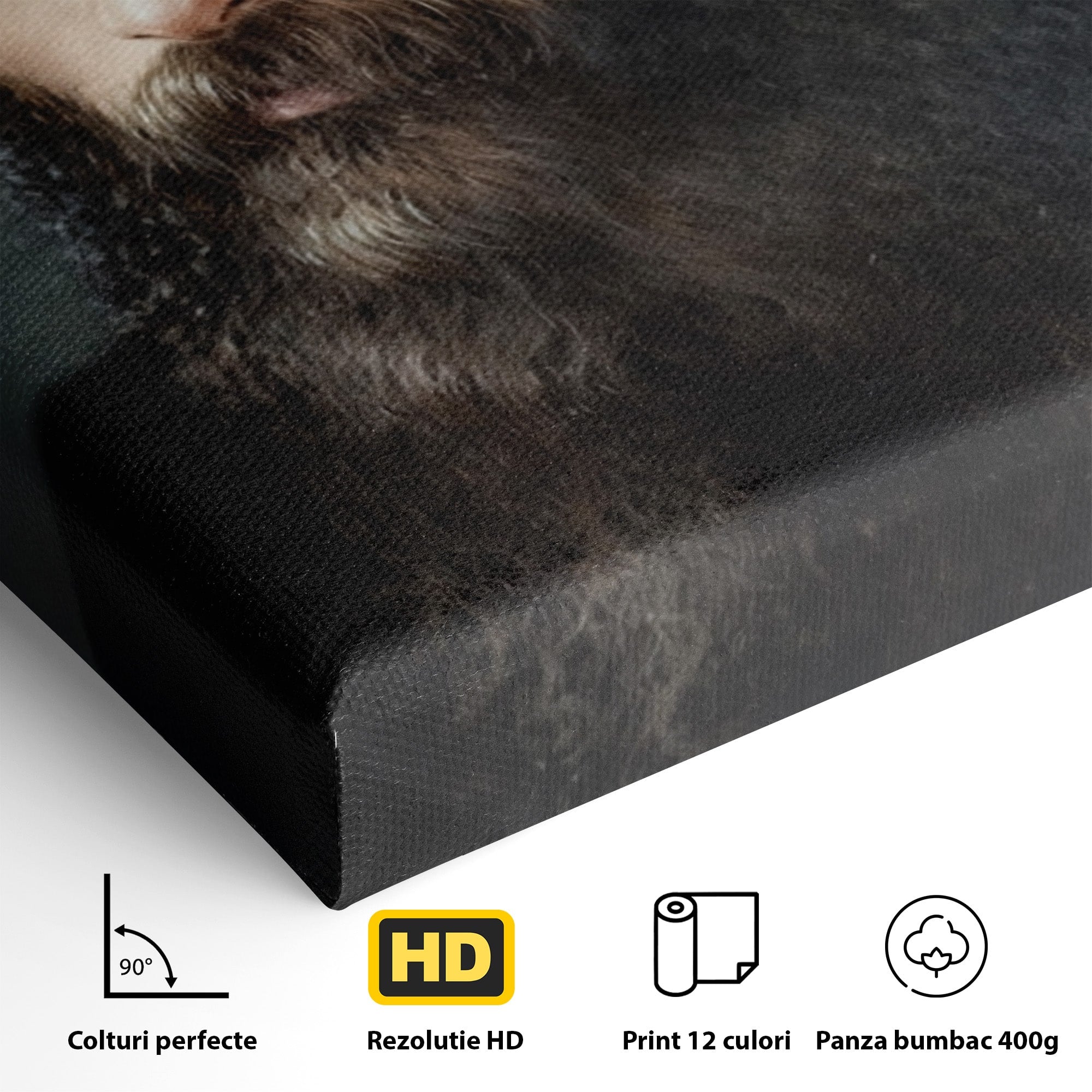 Tablou Canvas Premium LuxCanva® H1102, Portret Parinte Arsenie Boca, Portret, Religie, Spiritualitate, Arta Sacra, Living, Birou, Culori Vibrante