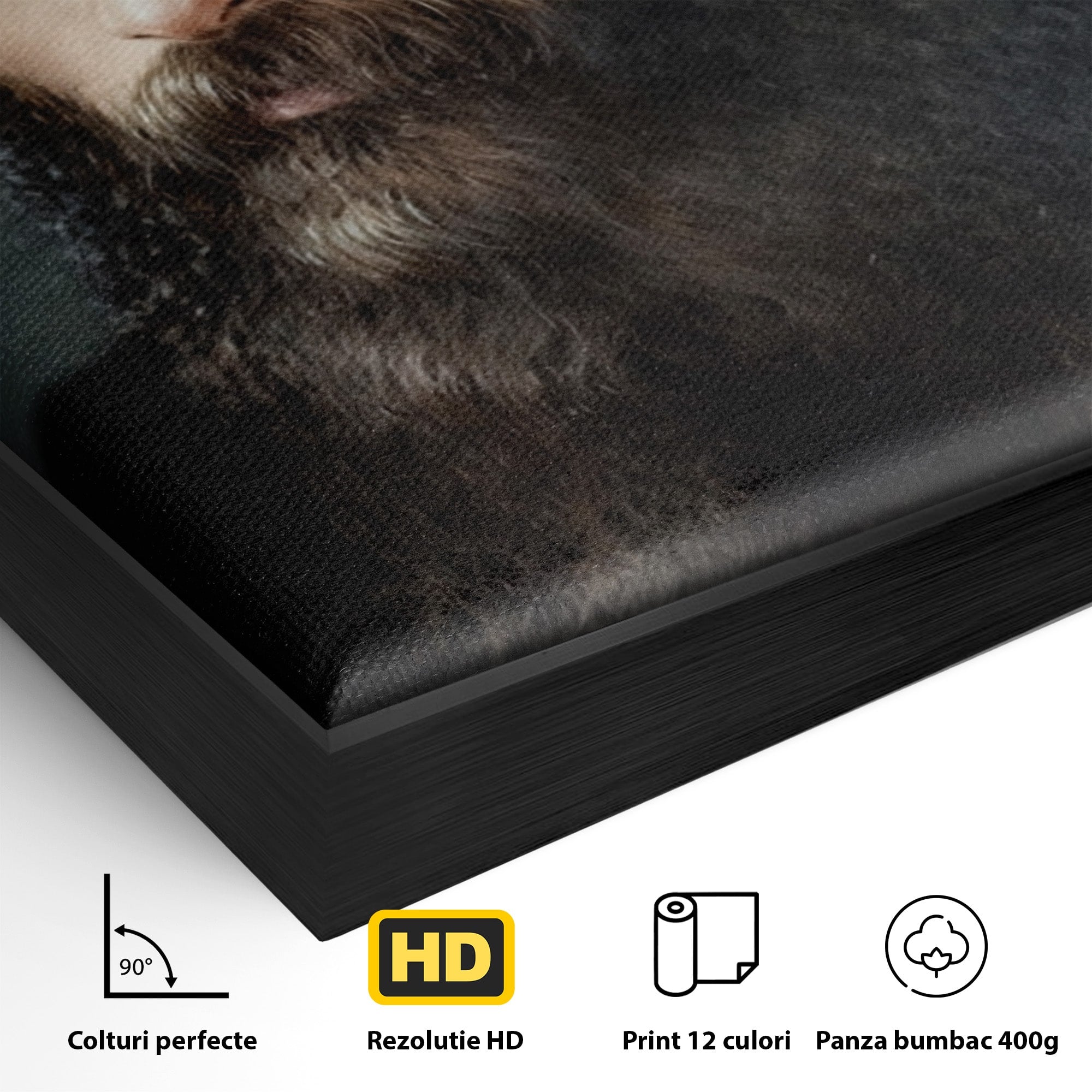 Tablou Canvas Premium LuxCanva® H1102, Portret Parinte Arsenie Boca, Portret, Religie, Spiritualitate, Arta Sacra, Living, Birou, Culori Vibrante