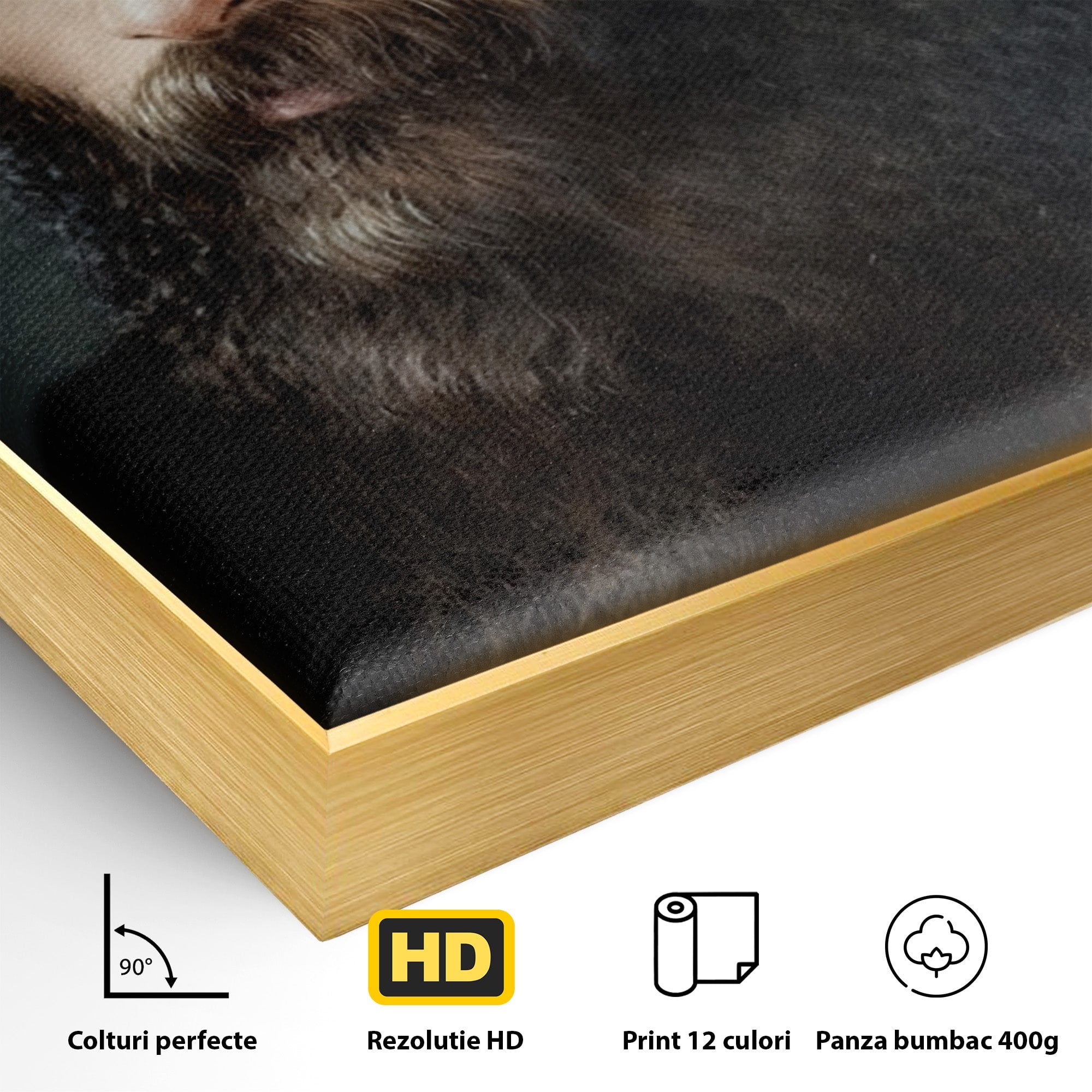 Tablou Canvas Premium LuxCanva® H1102, Portret Parinte Arsenie Boca, Portret, Religie, Spiritualitate, Arta Sacra, Living, Birou, Culori Vibrante
