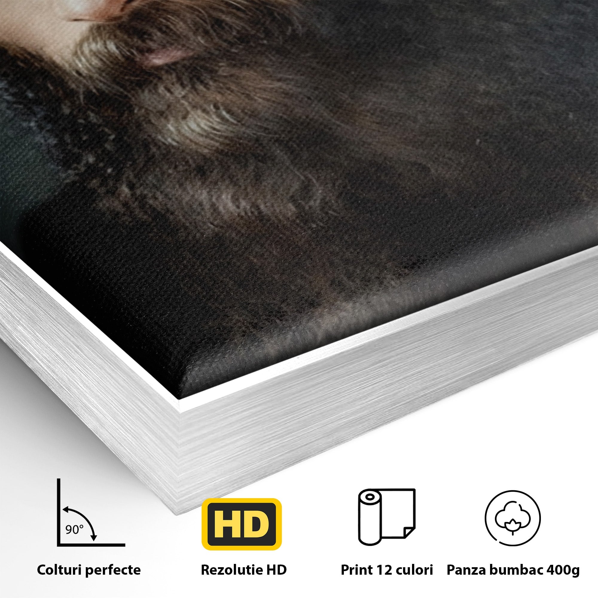 Tablou Canvas Premium LuxCanva® H1102, Portret Parinte Arsenie Boca, Portret, Religie, Spiritualitate, Arta Sacra, Living, Birou, Culori Vibrante