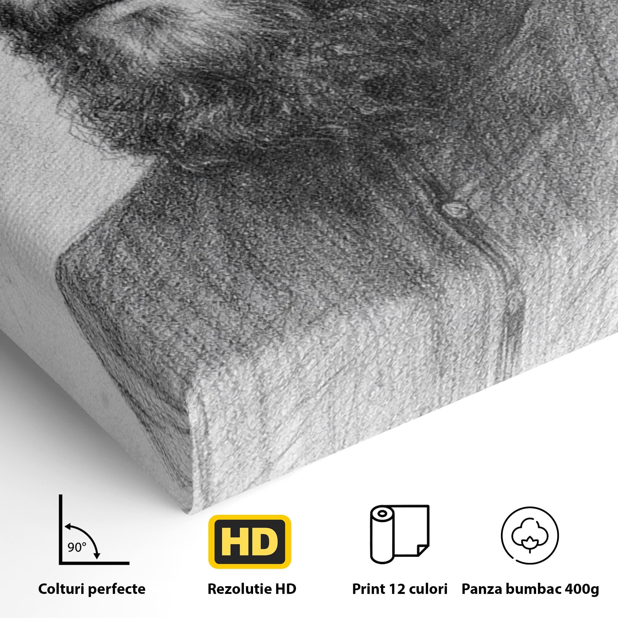 Tablou Canvas Premium LuxCanva® H1103, Portret Călugăr Contemplativ, Portret, Călugăr, Contemplativ, Artă, Birou, Culori Vibrante