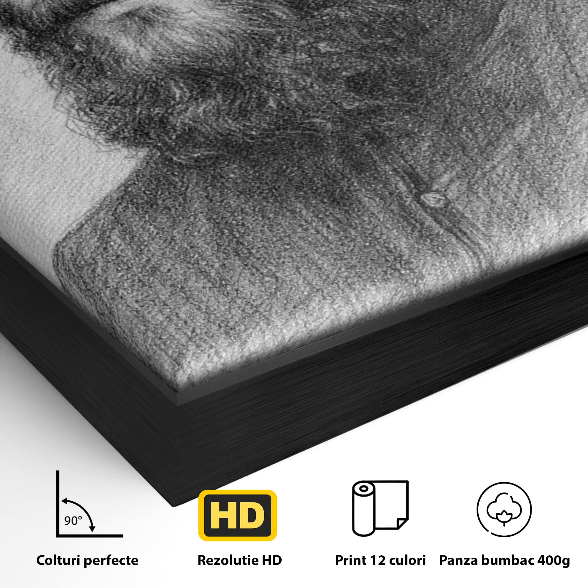 Tablou Canvas Premium LuxCanva® H1103, Portret Călugăr Contemplativ, Portret, Călugăr, Contemplativ, Artă, Birou, Culori Vibrante