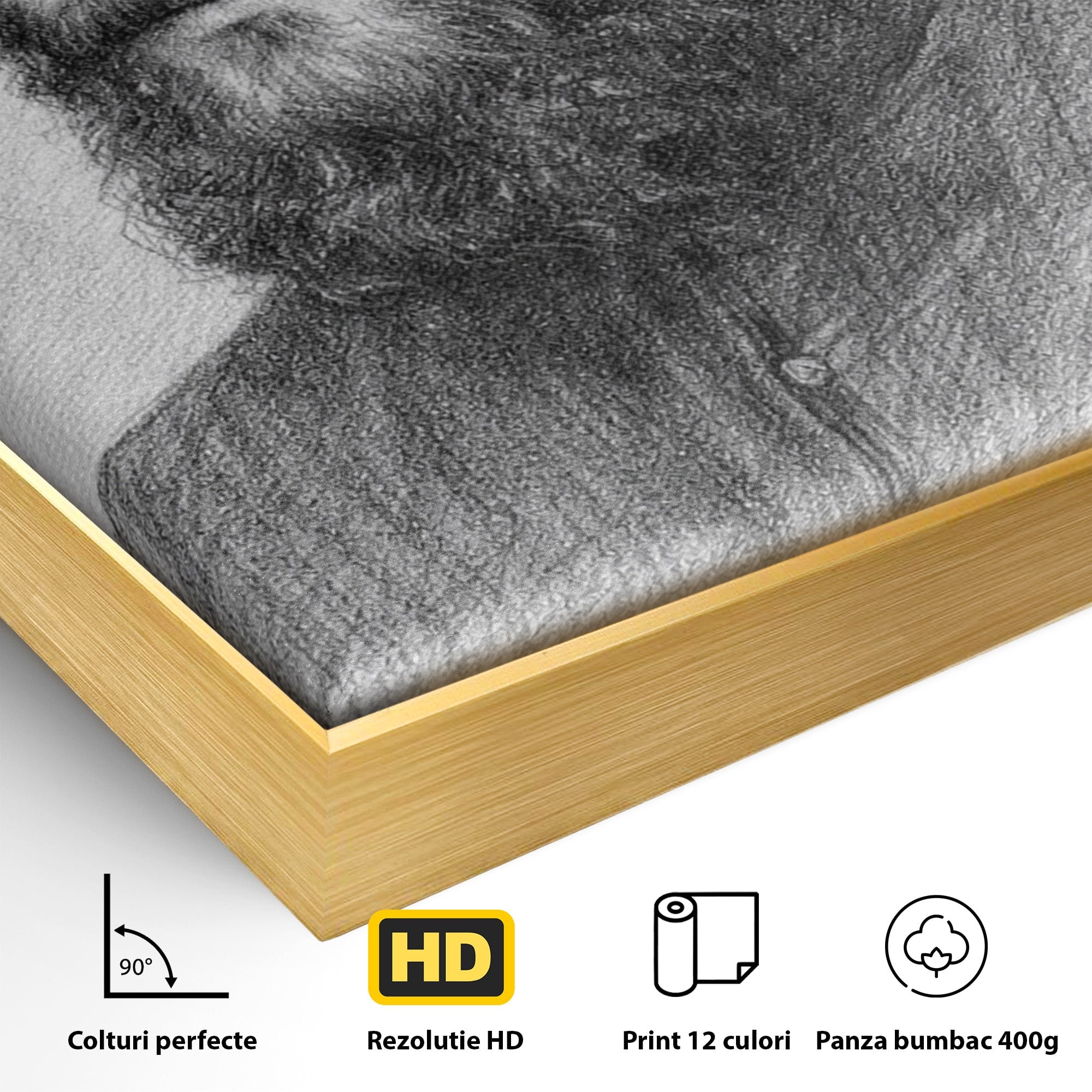 Tablou Canvas Premium LuxCanva® H1103, Portret Călugăr Contemplativ, Portret, Călugăr, Contemplativ, Artă, Birou, Culori Vibrante