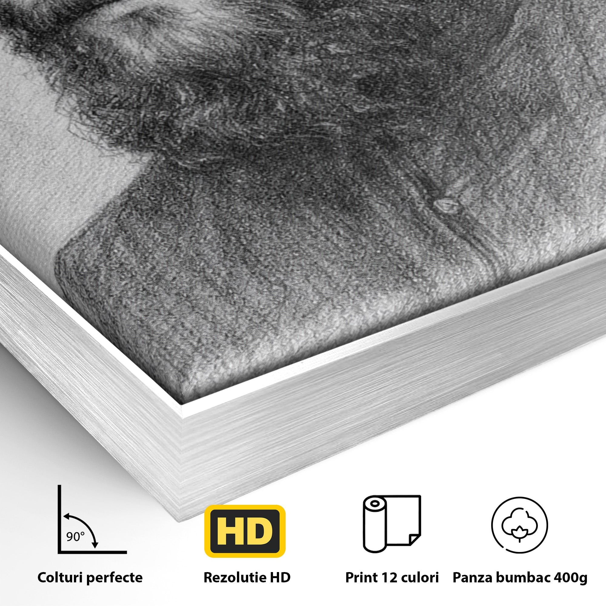 Tablou Canvas Premium LuxCanva® H1103, Portret Călugăr Contemplativ, Portret, Călugăr, Contemplativ, Artă, Birou, Culori Vibrante