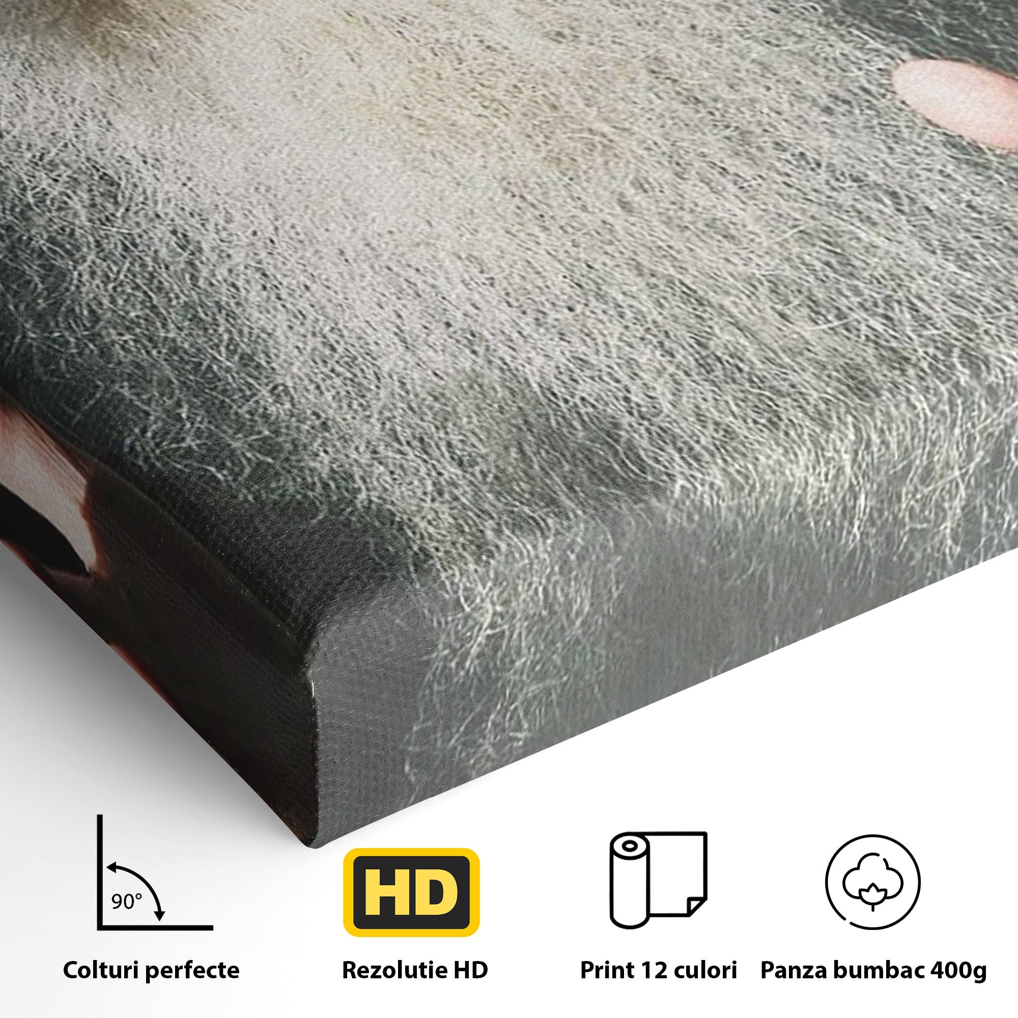 Tablou Canvas Premium LuxCanva® H1104, Părintele Arsenie Papacioc, Sfant, Portret, Binecuvantare, Rugaciune, Birou, Living, Culori Vibrante