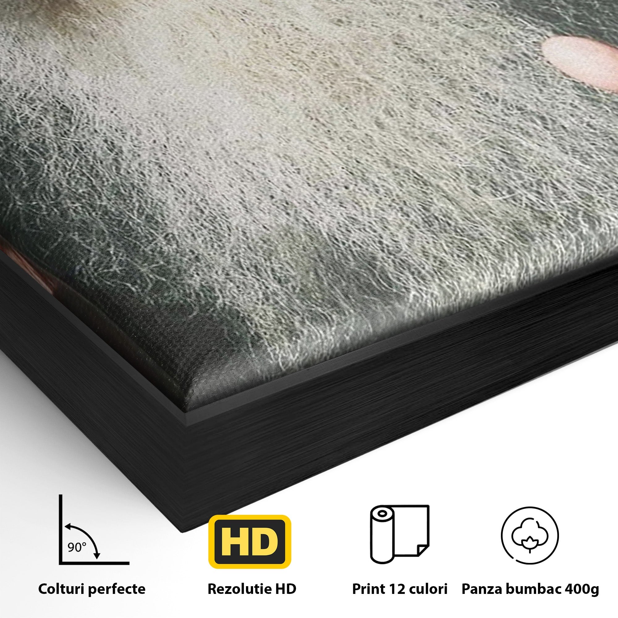 Tablou Canvas Premium LuxCanva® H1104, Părintele Arsenie Papacioc, Sfant, Portret, Binecuvantare, Rugaciune, Birou, Living, Culori Vibrante