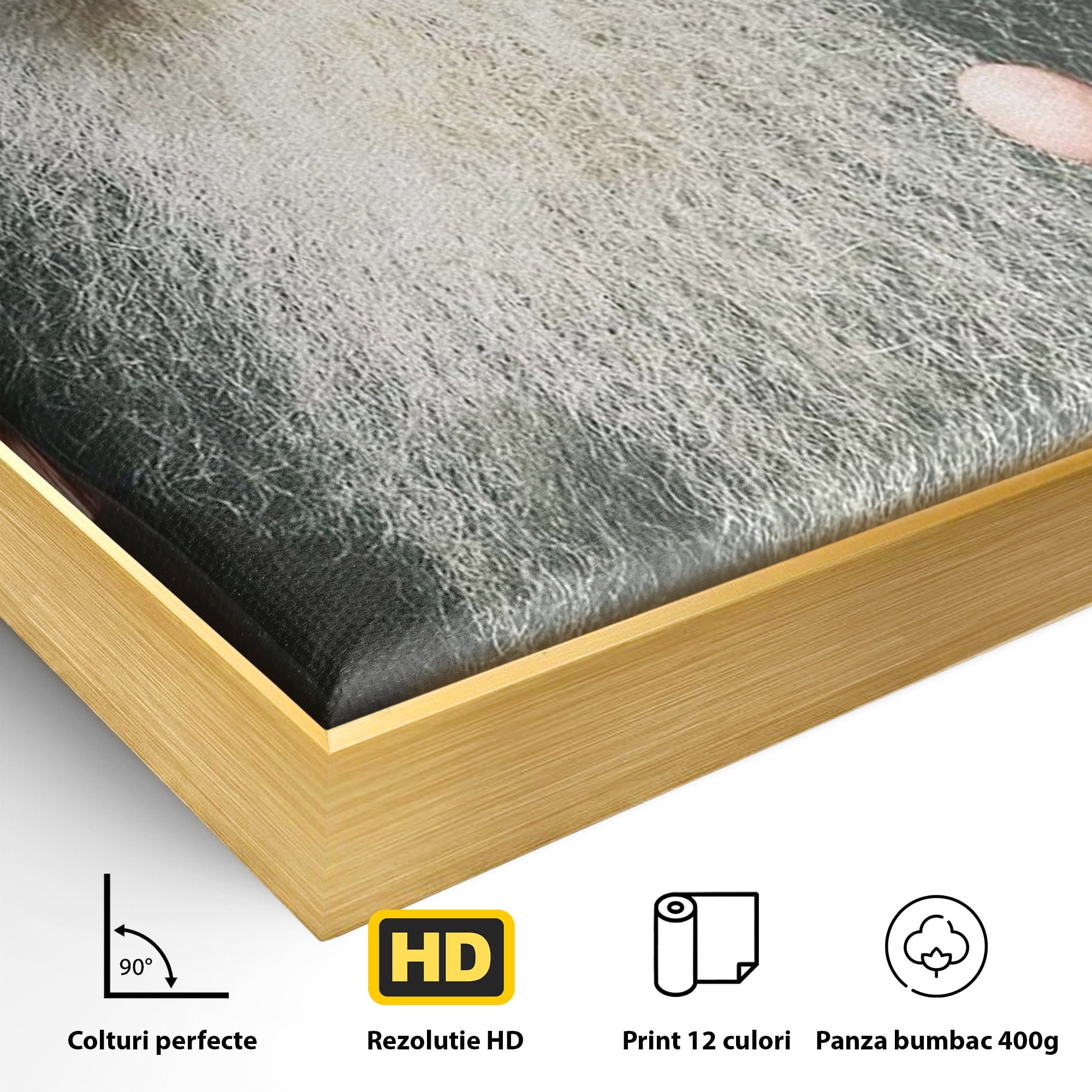 Tablou Canvas Premium LuxCanva® H1104, Părintele Arsenie Papacioc, Sfant, Portret, Binecuvantare, Rugaciune, Birou, Living, Culori Vibrante