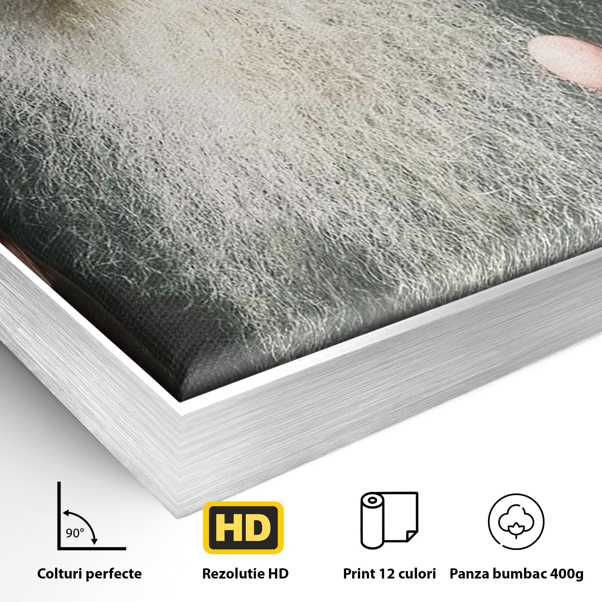 Tablou Canvas Premium LuxCanva® H1104, Părintele Arsenie Papacioc, Sfant, Portret, Binecuvantare, Rugaciune, Birou, Living, Culori Vibrante