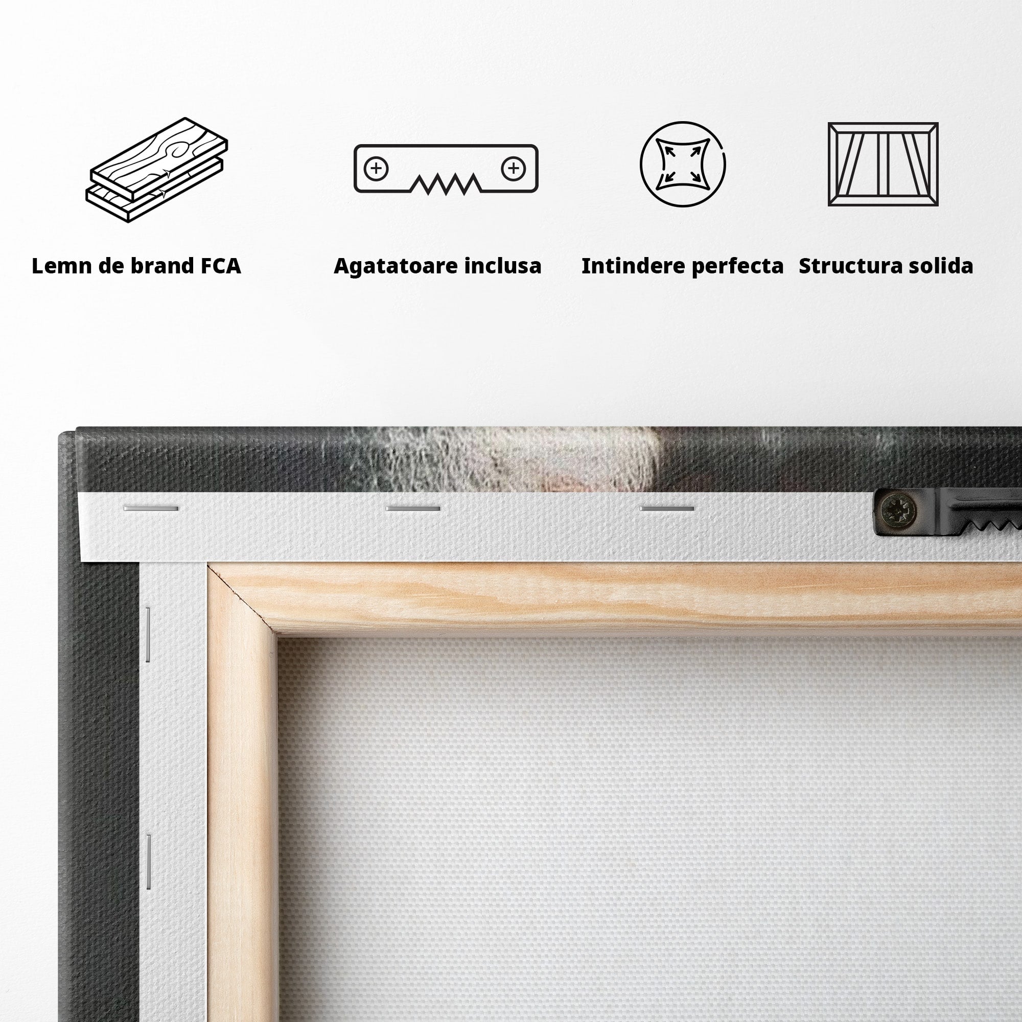 Tablou Canvas Premium LuxCanva® H1104, Părintele Arsenie Papacioc, Sfant, Portret, Binecuvantare, Rugaciune, Birou, Living, Culori Vibrante