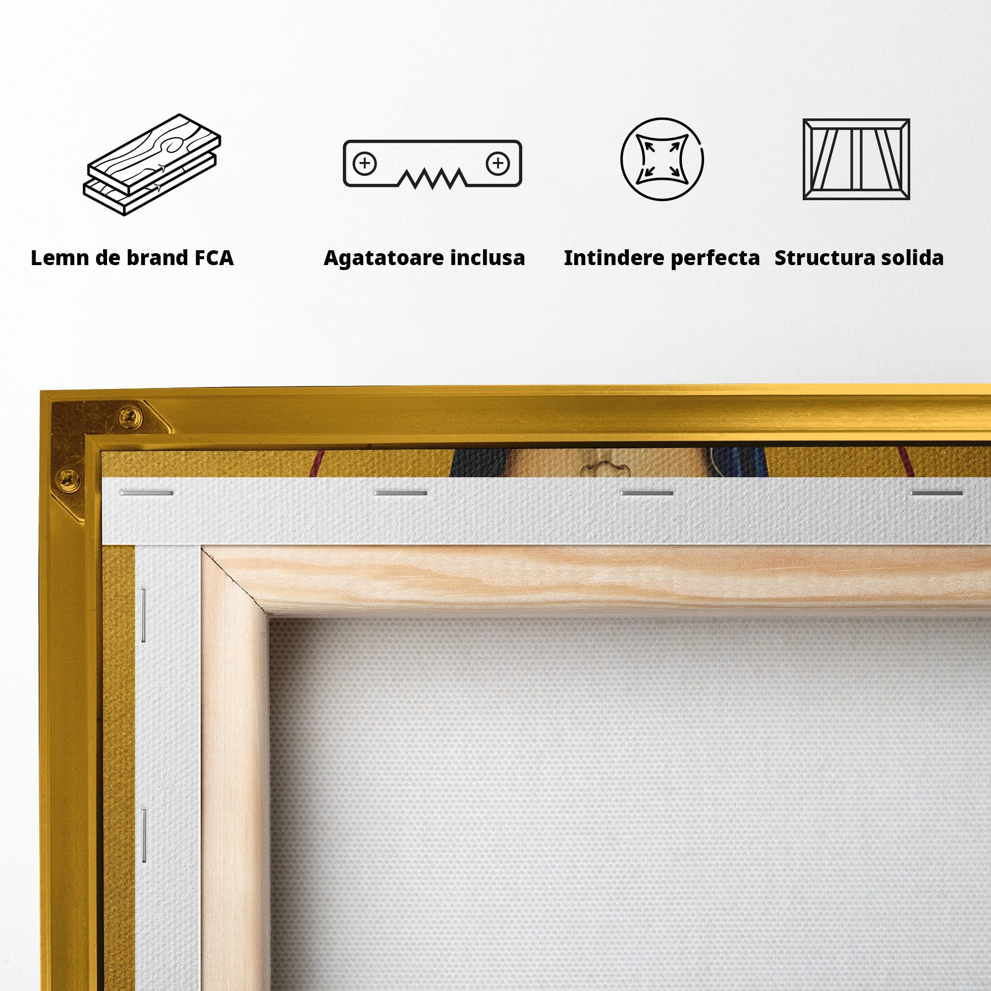 Tablou Canvas Premium LuxCanva® H1114, Sfanta Parascheva, Cuvioasa, Icoana, Ocrotitoare, Spiritualitate, Credinta, Dormitor, Culori Vibrante