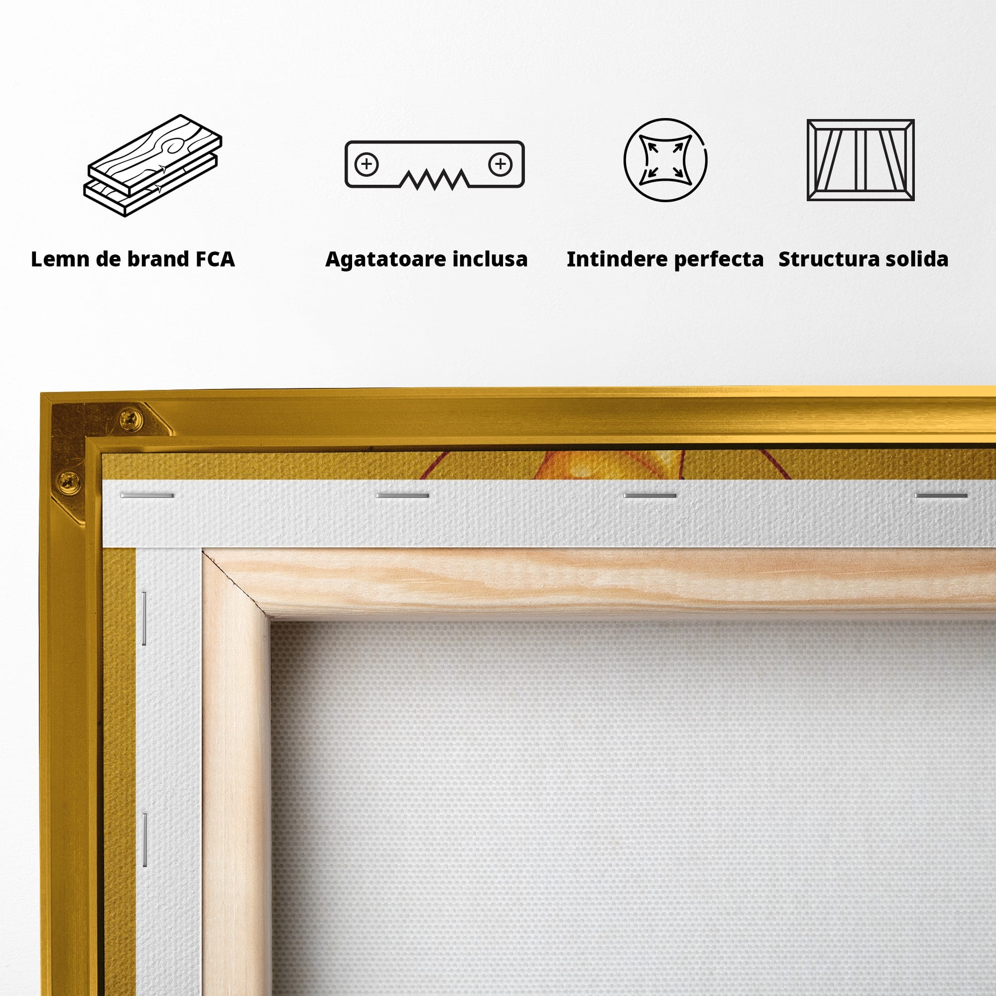 Tablou Canvas Premium LuxCanva® H1122, Sfântul Ștefan – Mărturisitorul lui Hristos, Intaiul, Mucenic, Jertfa, Credinta, Sfintenie, Dormitor, Birou, Culori Vibrante