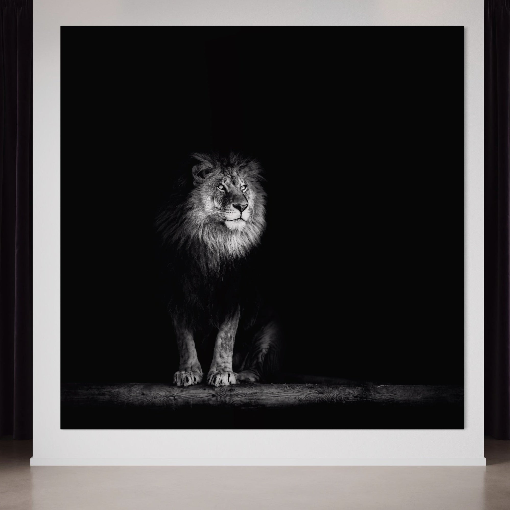 Tablou Canvas Premium LuxCanva® A1258, Leu Alb-Negru, Animal, Regele Junglei, Safari, Dormitor, Decorativ