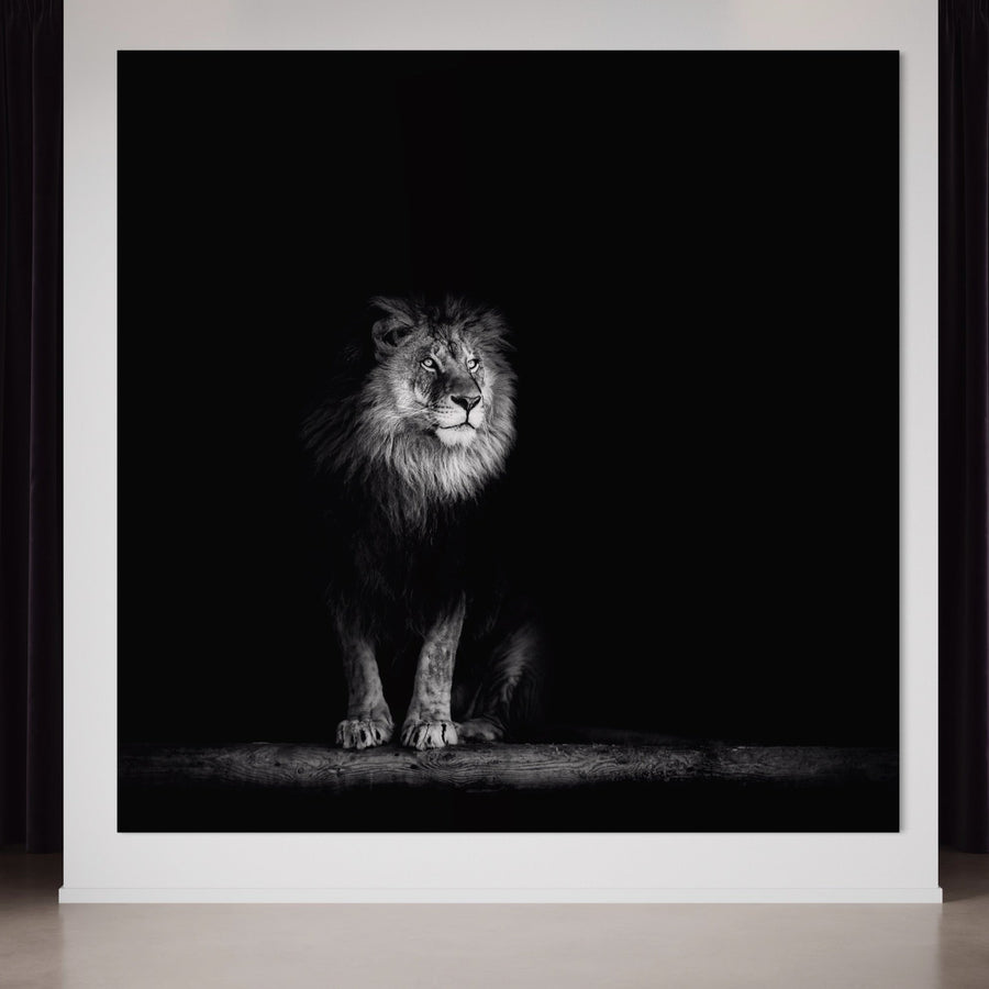 The LuxCanva® Tablou Canvas Premium A1258 prezintă un leu alb-negru, centrat și luminat dramatic, pe pânză premium pentru decor safari în dormitor; Regele Junglei expus elegant pe perete.