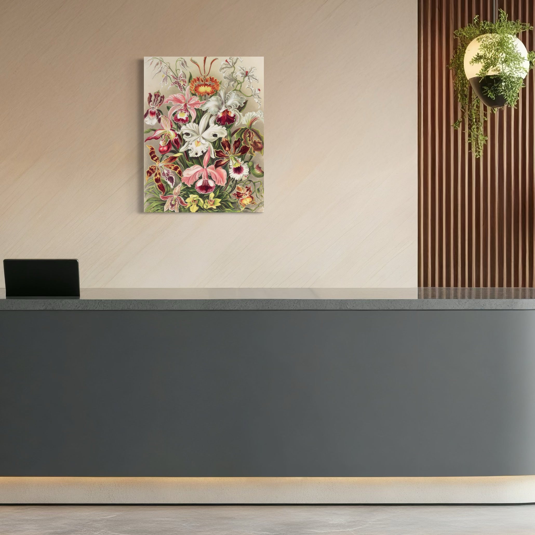 Tablou Canvas Premium LuxCanva® C1043, Orhidee Multicolore ,  Culori, Flori, Orhidee, Office, Living Room, Relaxare, Culori Vibrante