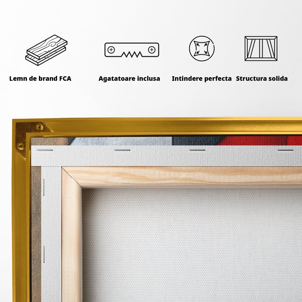 Tablou Canvas Premium, LuxCanva® J1001, Chip Fragmentat, Chip, Stilizat, Forme, Suprapus, Rosu. Galben, Echilibru, Disociere, Arta, Expozitie, Artist, Living, Dormitor