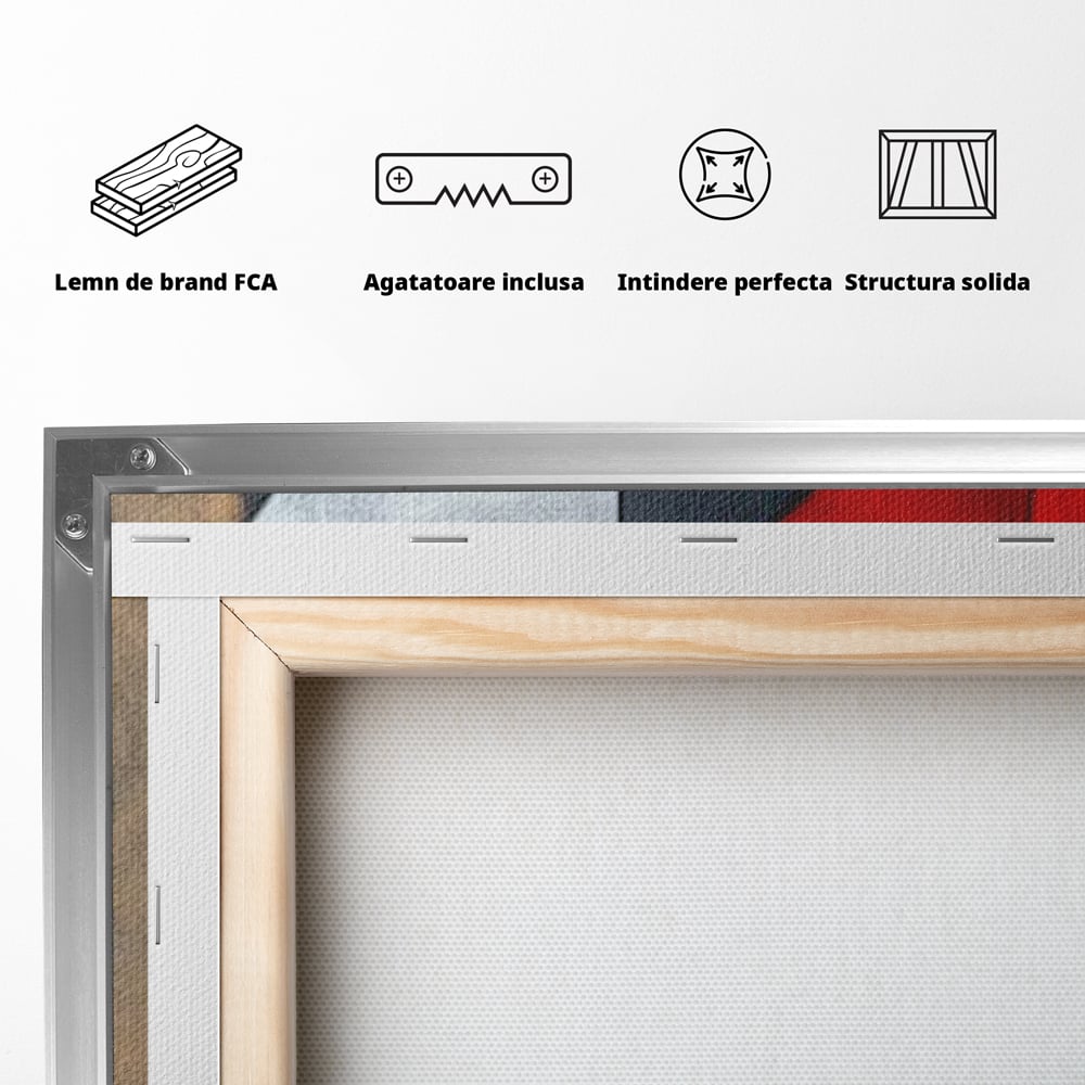 Tablou Canvas Premium, LuxCanva® J1001, Chip Fragmentat, Chip, Stilizat, Forme, Suprapus, Rosu. Galben, Echilibru, Disociere, Arta, Expozitie, Artist, Living, Dormitor