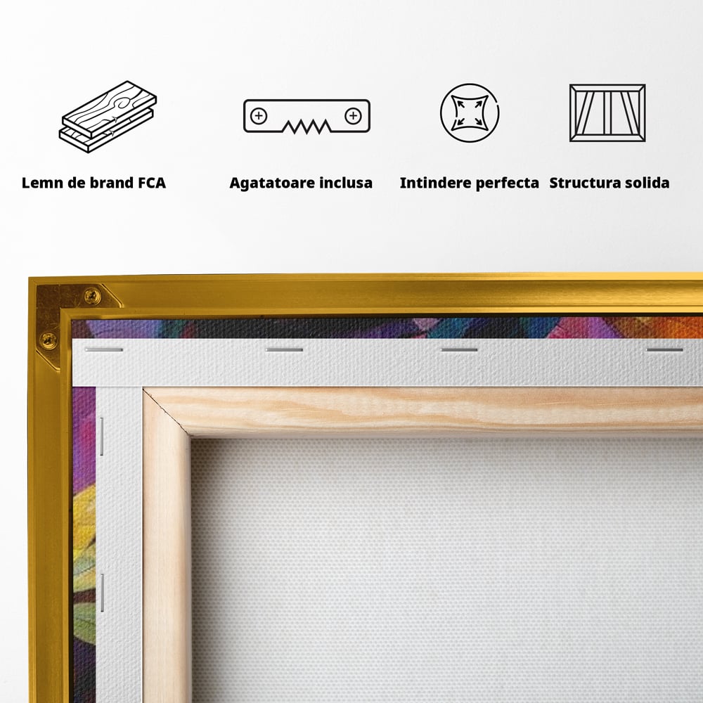 Tablou Canvas Premium, LuxCanva® J1016, Chip in Vitralii, Floare, Portret, Chip, Privire, Femeie, Abstract, Ganduri, Mozaic, Colorat, Design, Artist, Expozitie, Living, Dormitor