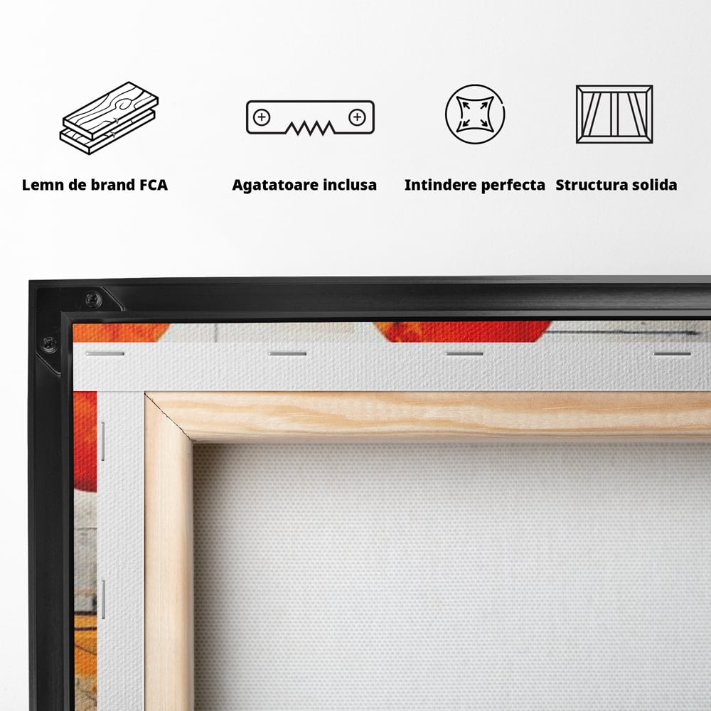 Leinwand Premium Canvas Wandbilder, LuxCanva® J1019, Dekomponierter Raum, Kugeln, Rot, Orange, Orbits, Linien, Urban, Kontraste, Komposition, Dekorativ, Dekorativ, Fantasie, Wohnen, Schlafzimmer