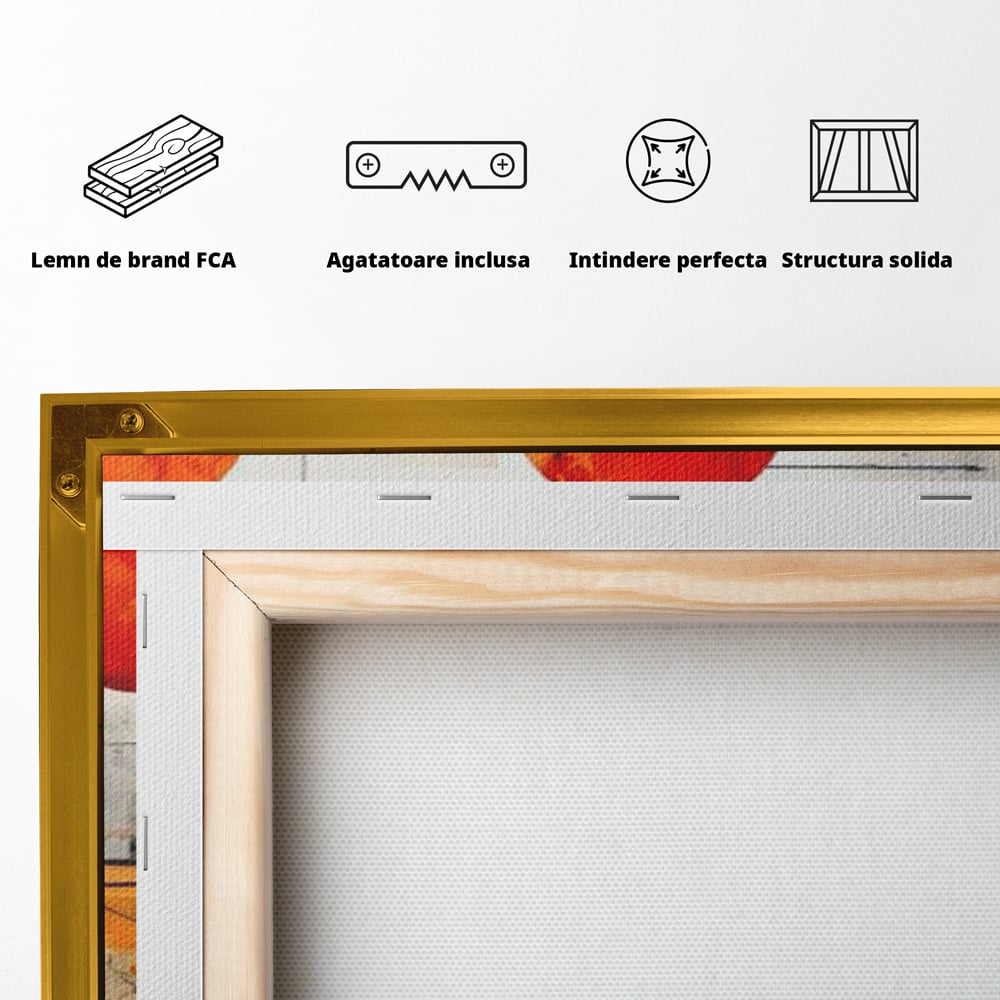 Leinwand Premium Canvas Wandbilder, LuxCanva® J1019, Dekomponierter Raum, Kugeln, Rot, Orange, Orbits, Linien, Urban, Kontraste, Komposition, Dekorativ, Dekorativ, Fantasie, Wohnen, Schlafzimmer