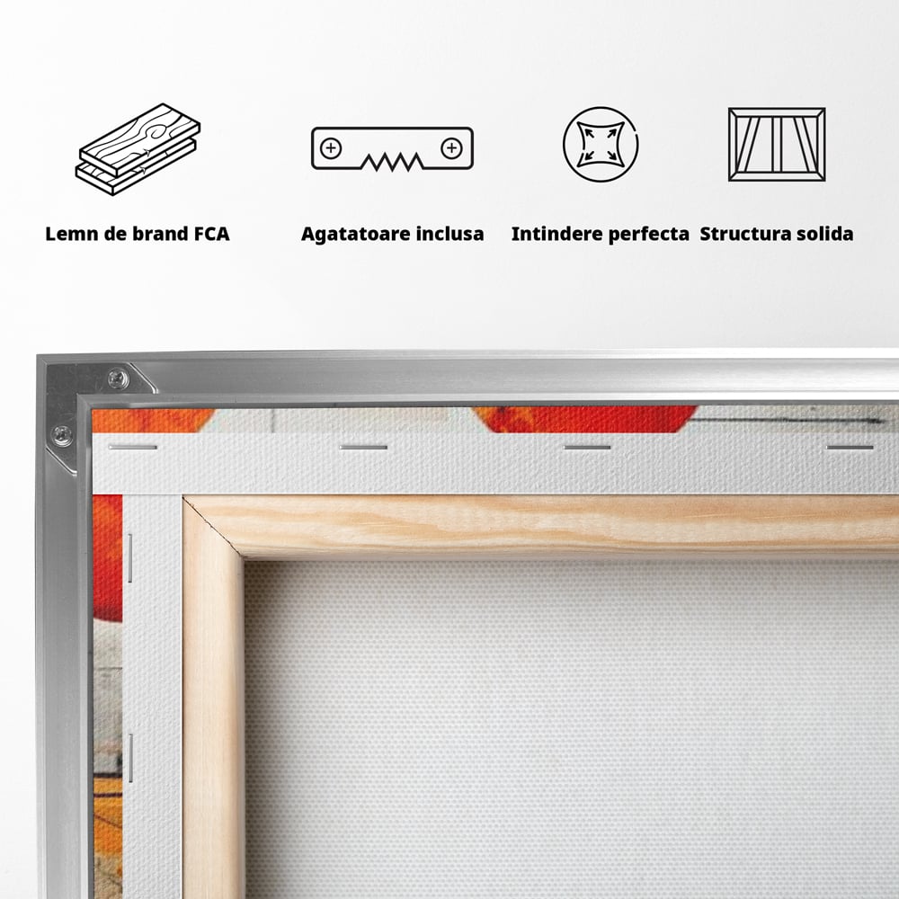 Leinwand Premium Canvas Wandbilder, LuxCanva® J1019, Dekomponierter Raum, Kugeln, Rot, Orange, Orbits, Linien, Urban, Kontraste, Komposition, Dekorativ, Dekorativ, Fantasie, Wohnen, Schlafzimmer