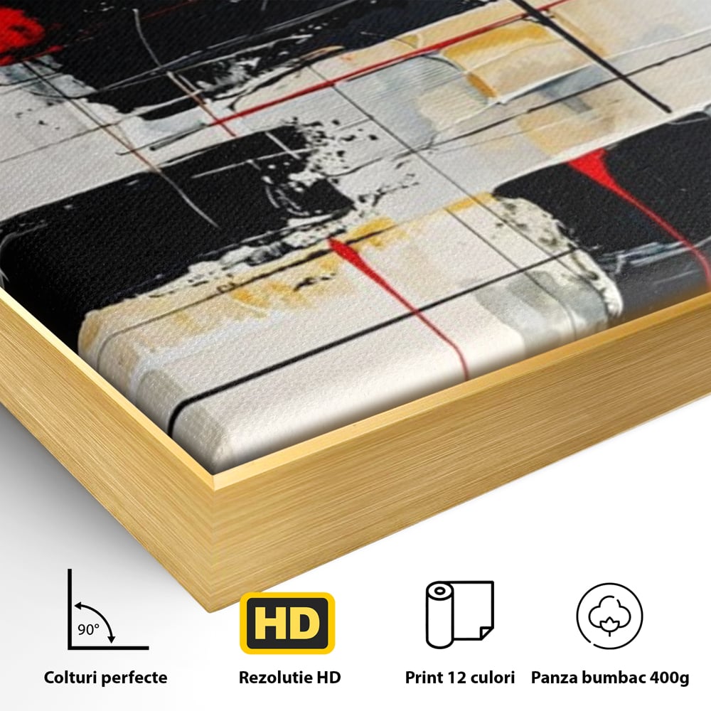 Tablou Canvas Premium, LuxCanva® J1029, Cercul Vietii, Energie, Foc, Abstract, Rosu, Negru, Cercuri, Explozie, Contrast, Pasiune, Minimalism, Geometrie, Living, Dormitor