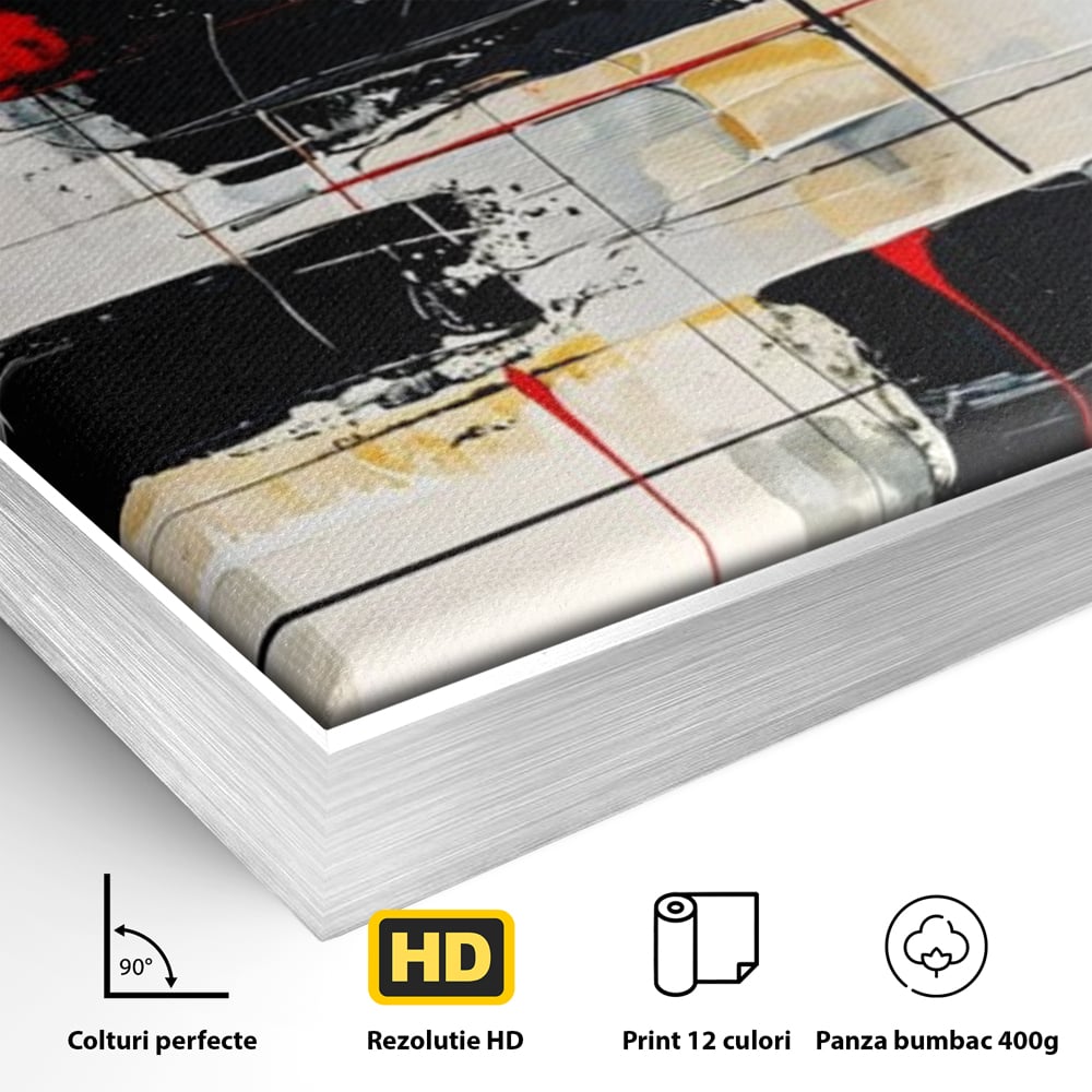 Tablou Canvas Premium, LuxCanva® J1029, Cercul Vietii, Energie, Foc, Abstract, Rosu, Negru, Cercuri, Explozie, Contrast, Pasiune, Minimalism, Geometrie, Living, Dormitor