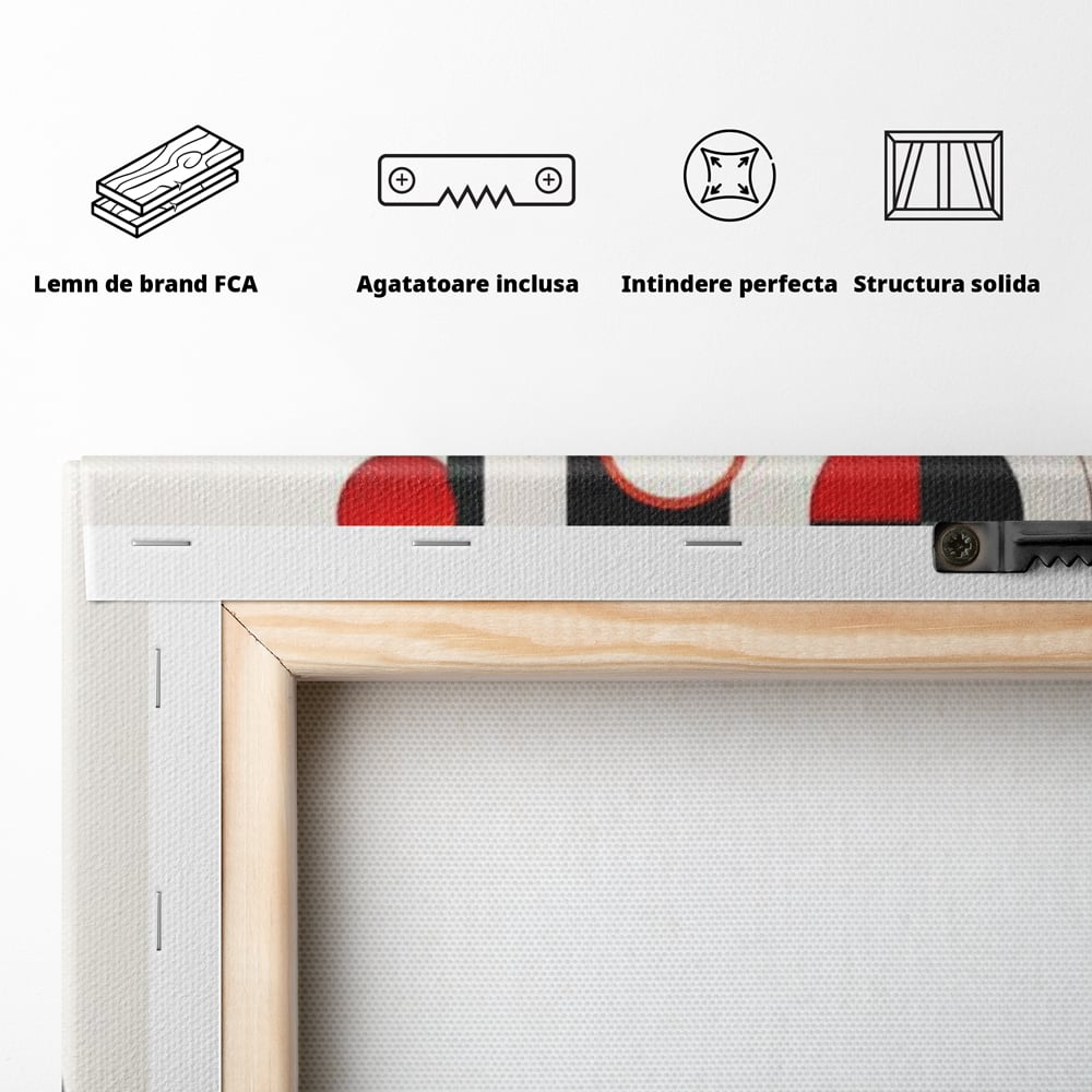 Tablou Canvas Premium, LuxCanva® J1033, Ochiul Universului, Visare, Pasiune, Zbor, Miscare, Calatorie, Ritm, Armonie, Simplitate, Abstract, Olfactiv, Living, Dormitor