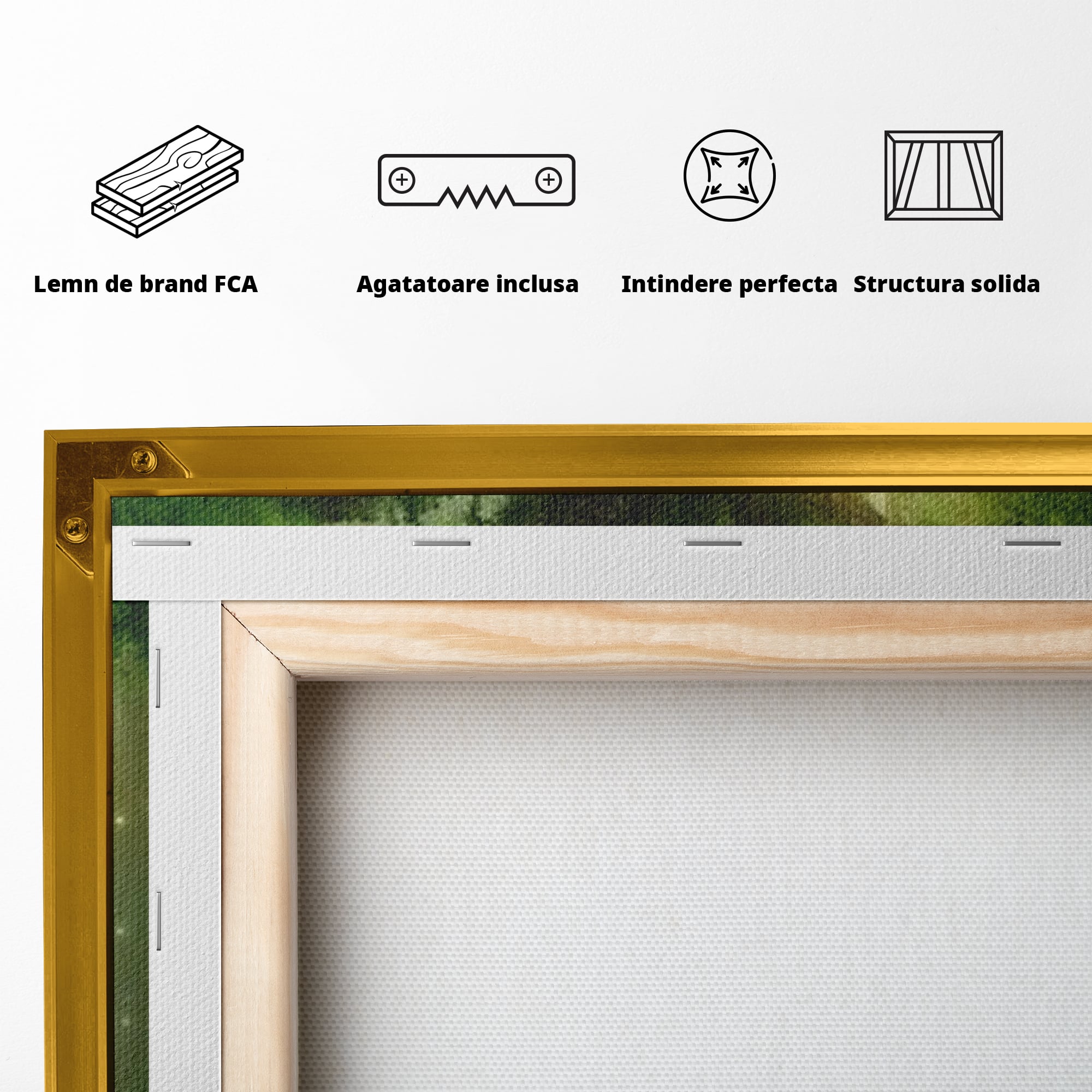 Tablou Canvas Premium, LuxCanva® K1000, Copacul Viselor,  Casuta, Fermecata, Taram, Zane, Verde, Padure, Magie, Vise, Povesti, Fantezie, Spiridusi, Mistic, Camera Copii