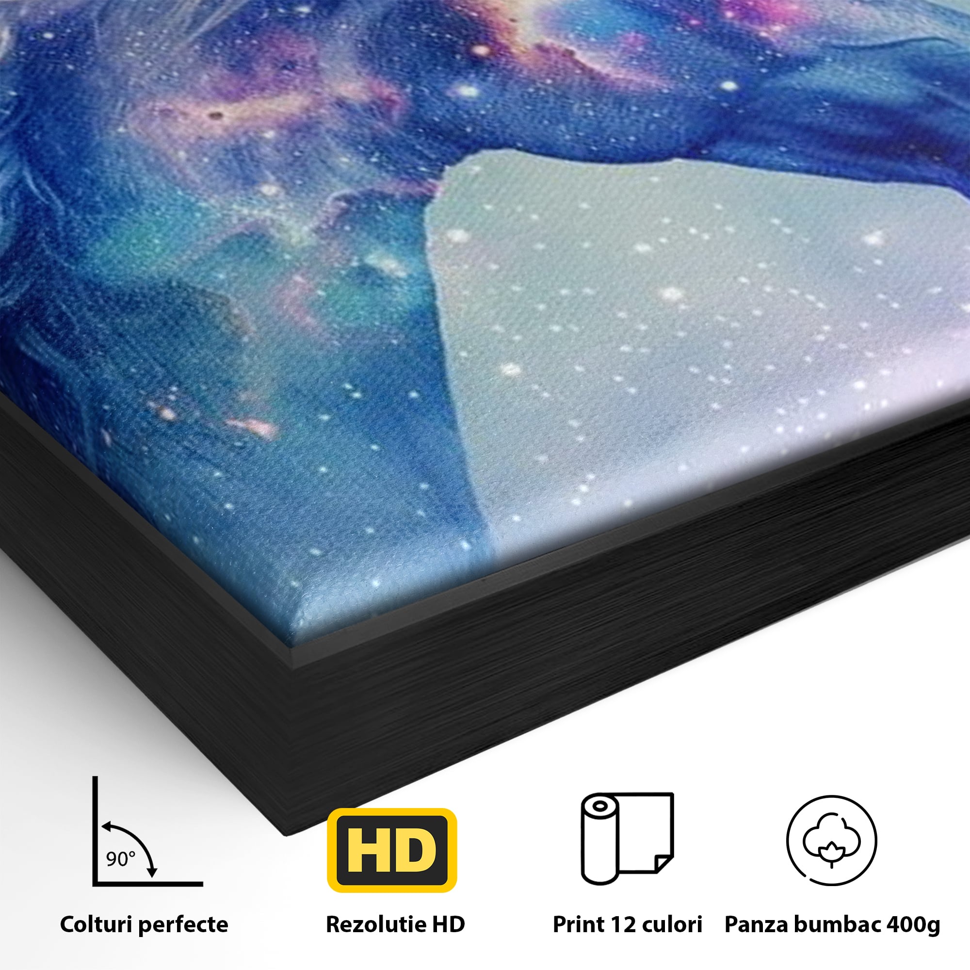 Tablou Canvas Premium, LuxCanva® K1003, Unicornul din Galaxie, Cer, Stele, Cosmic, Vise, Univers, Constelatii, Fantezie, Feeric, Creatura, Fantastica, Mitic, Camera Copii