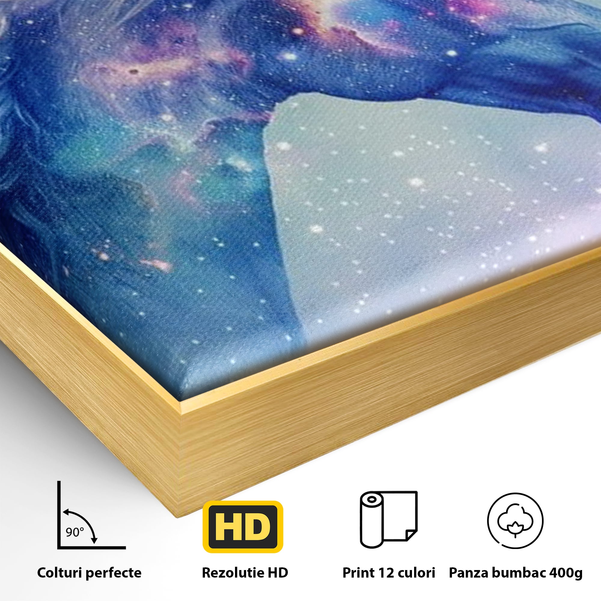 Tablou Canvas Premium, LuxCanva® K1003, Unicornul din Galaxie, Cer, Stele, Cosmic, Vise, Univers, Constelatii, Fantezie, Feeric, Creatura, Fantastica, Mitic, Camera Copii