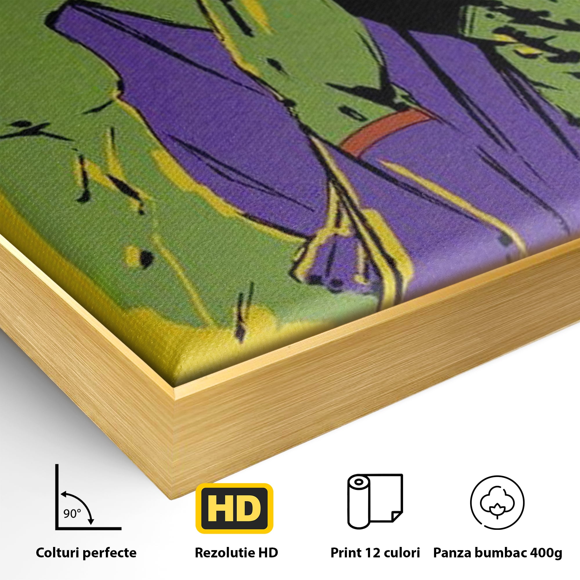 Tablou Canvas Premium, LuxCanva® K1013, Eroii Din Povesti, Duo, Misiune, Curaj, Gardieni, Galaxie, Eroi, Fantastici, Scut, Galben, Supereroi, Benzi, Desenate, Camera Copii