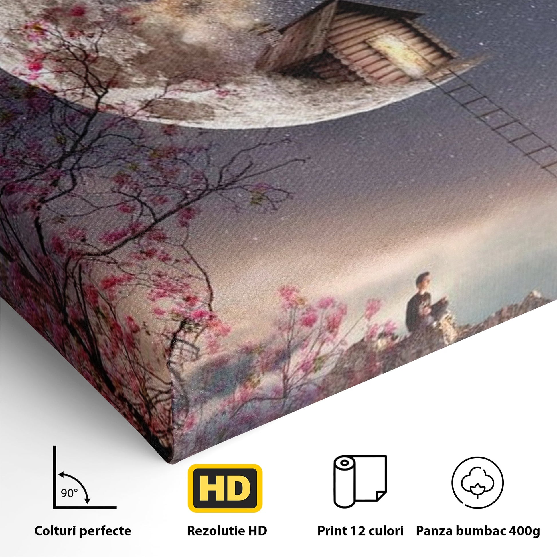Tablou Canvas Premium, LuxCanva® K1016, Casa de pe Luna, Astru, Noapte, Instelata, Scari, Cer, Stele, Vise, Nocturn, Peisaj, Poveste, Cosmos, Magie, Taram, Senin, Camera Copii