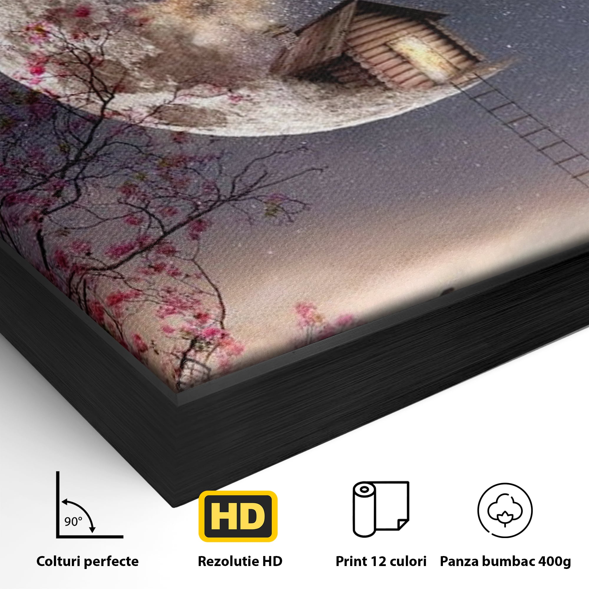 Tablou Canvas Premium, LuxCanva® K1016, Casa de pe Luna, Astru, Noapte, Instelata, Scari, Cer, Stele, Vise, Nocturn, Peisaj, Poveste, Cosmos, Magie, Taram, Senin, Camera Copii