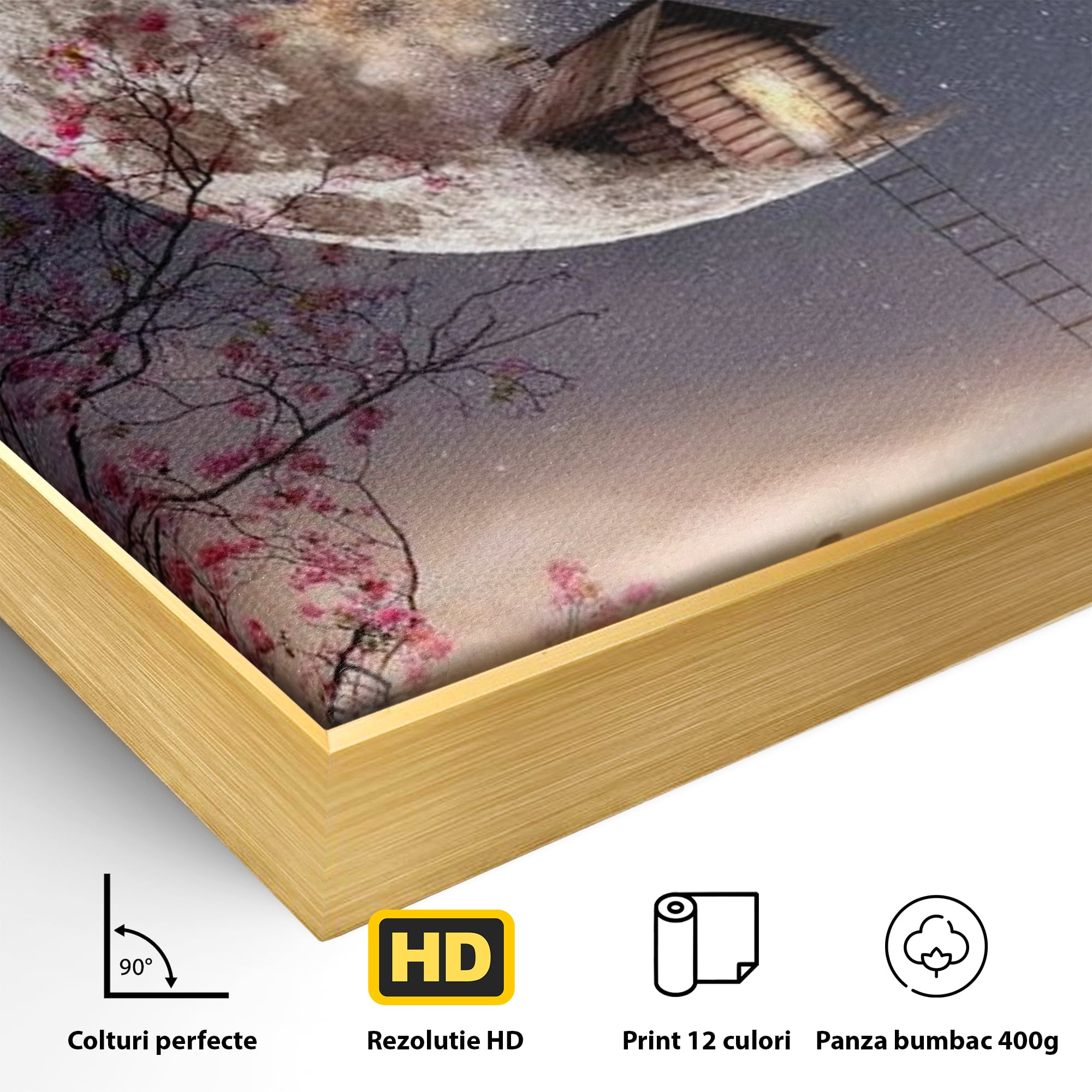 Tablou Canvas Premium, LuxCanva® K1016, Casa de pe Luna, Astru, Noapte, Instelata, Scari, Cer, Stele, Vise, Nocturn, Peisaj, Poveste, Cosmos, Magie, Taram, Senin, Camera Copii