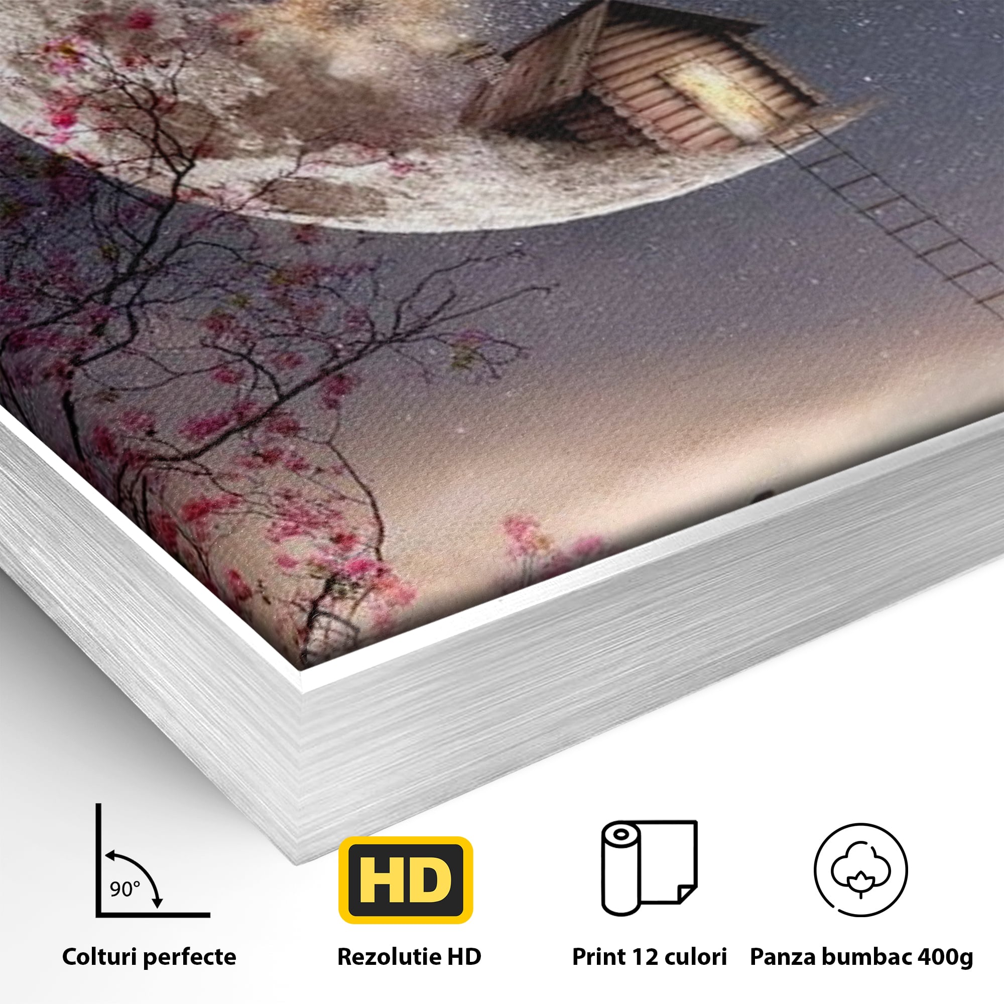 Tablou Canvas Premium, LuxCanva® K1016, Casa de pe Luna, Astru, Noapte, Instelata, Scari, Cer, Stele, Vise, Nocturn, Peisaj, Poveste, Cosmos, Magie, Taram, Senin, Camera Copii