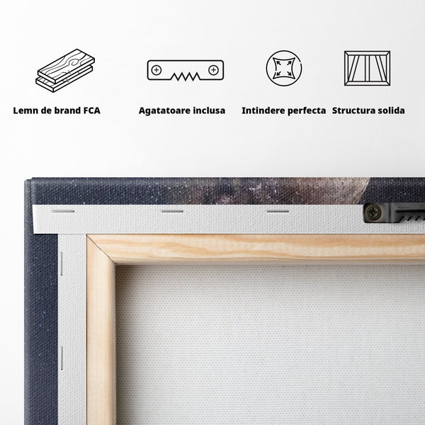 Tablou Canvas Premium, LuxCanva® K1016, Casa de pe Luna, Astru, Noapte, Instelata, Scari, Cer, Stele, Vise, Nocturn, Peisaj, Poveste, Cosmos, Magie, Taram, Senin, Camera Copii