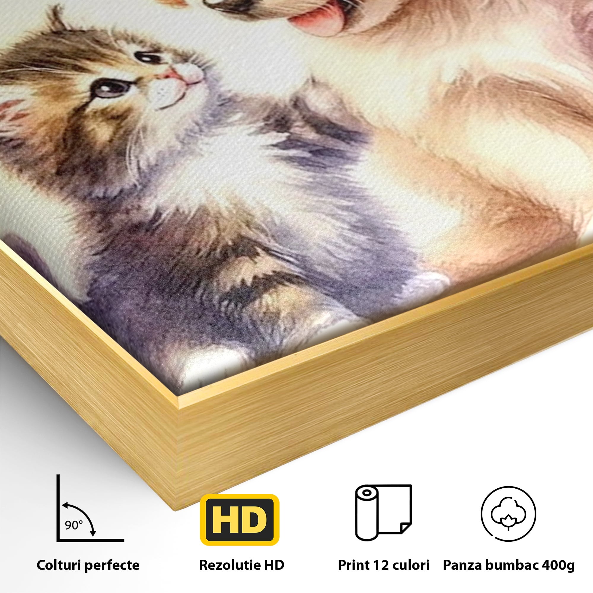 Leinwand Wandkunst Leinwand Wandkunst Premium, LuxCanva® K1056, Kleine Entdecker, Freundschaft, Welpe, Kätzchen, spielen, verspielt, verspielt, Huhn, Unschuld, Babyzimmer, Schlafzimmer