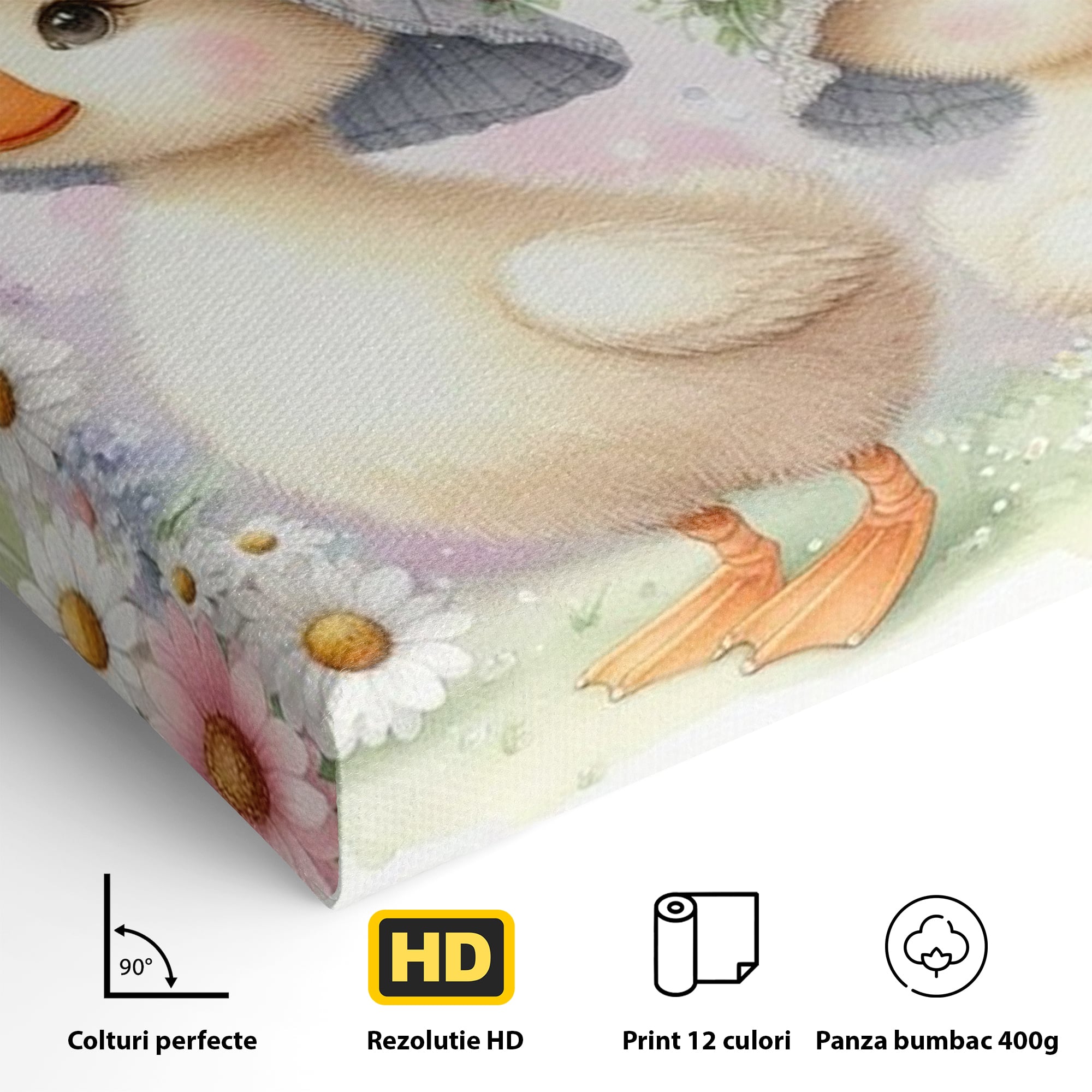 Leinwand Wandkunst Leinwand Premium, LuxCanva® K1067, Frühlingsspiel, Vögel, Vögel, Blumen, Hüte, Blütenblätter, Blumen, Blumen, Blumen, Kindergarten, Kinderzimmer, Kinderzimmer, Schlafzimmer
