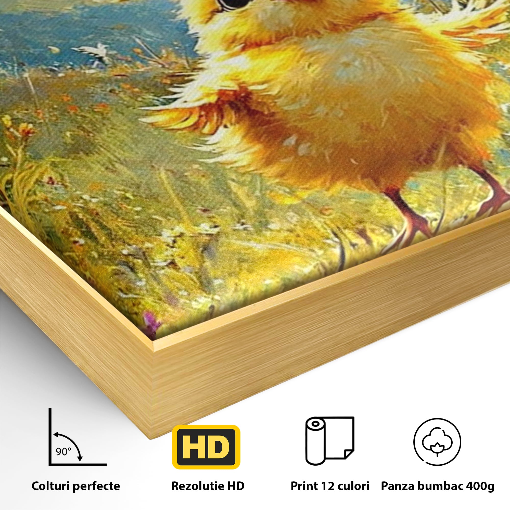 Leinwand Wandkunst Canvas Wandkunst Premium, LuxCanva® K1070, Feld der kleinen Wunder, Huhn, Schmetterling, Landschaft, Vogel, Blumen, Licht, Freude, Unschuld, Babyzimmer, Schlafzimmer