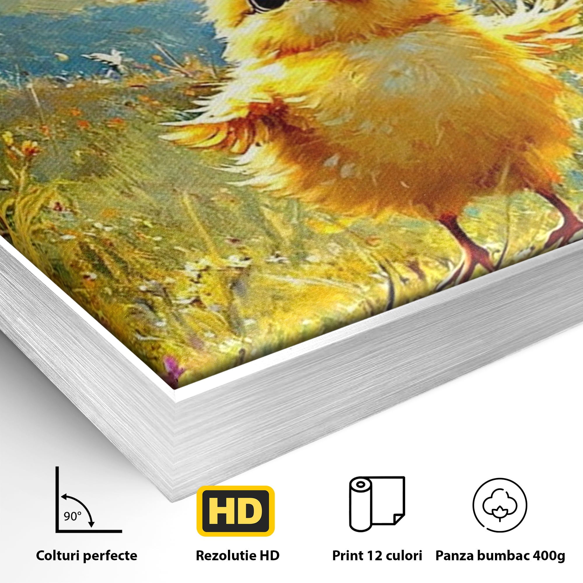 Leinwand Wandkunst Canvas Wandkunst Premium, LuxCanva® K1070, Feld der kleinen Wunder, Huhn, Schmetterling, Landschaft, Vogel, Blumen, Licht, Freude, Unschuld, Babyzimmer, Schlafzimmer
