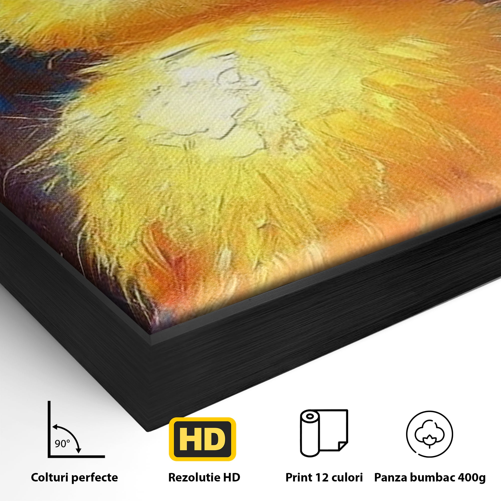 Tablou Canvas Premium, LuxCanva® K1071, Micuta Raza de Soare, Palarie, Pasare, Pui, Fluturi, Pufosenie, Adorabil, Portret, Pictura, Camera Copil, Dormitor