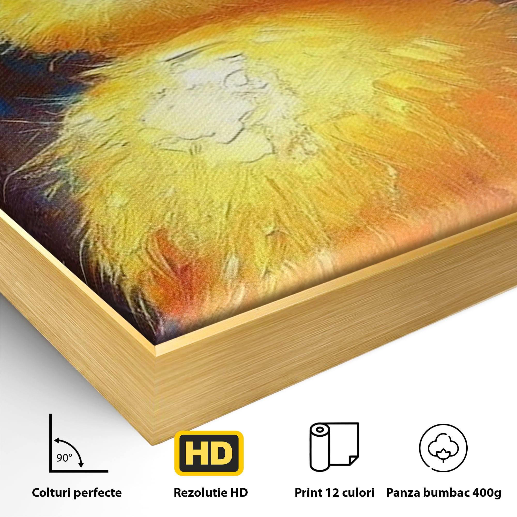 Tablou Canvas Premium, LuxCanva® K1071, Micuta Raza de Soare, Palarie, Pasare, Pui, Fluturi, Pufosenie, Adorabil, Portret, Pictura, Camera Copil, Dormitor