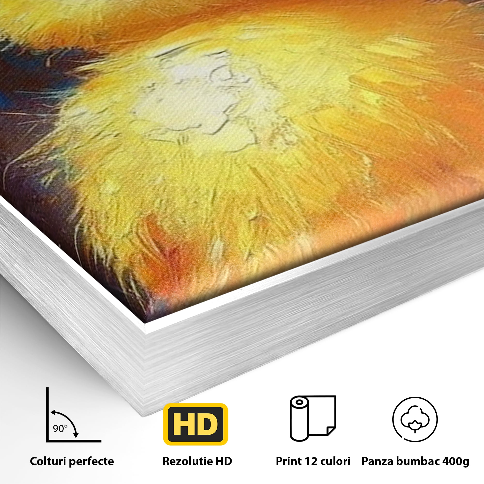 Tablou Canvas Premium, LuxCanva® K1071, Micuta Raza de Soare, Palarie, Pasare, Pui, Fluturi, Pufosenie, Adorabil, Portret, Pictura, Camera Copil, Dormitor