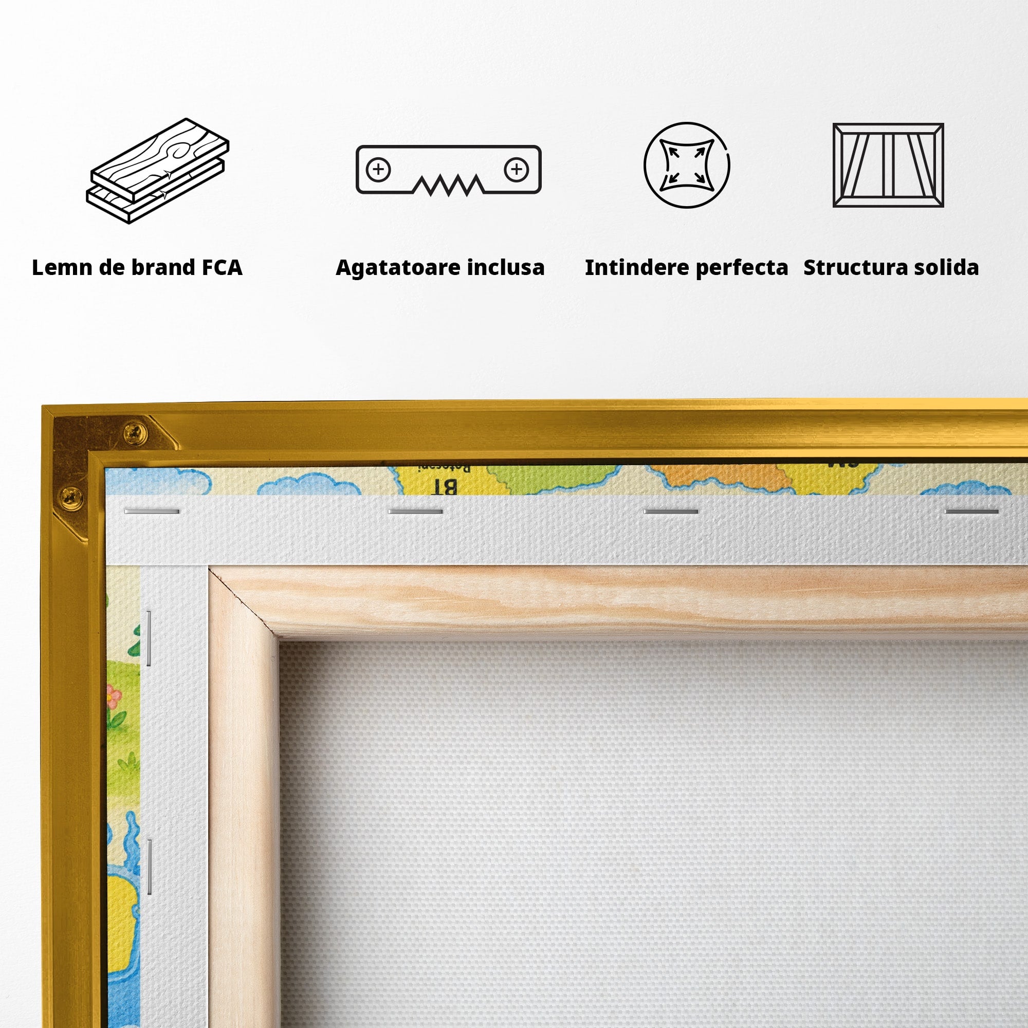 Tablou Canvas Premium LuxCanva® K1079, Harta Vesela A Romaniei, Harta, Romania, Educatie, Copii, Camera Copiilor, Culori Vibrante
